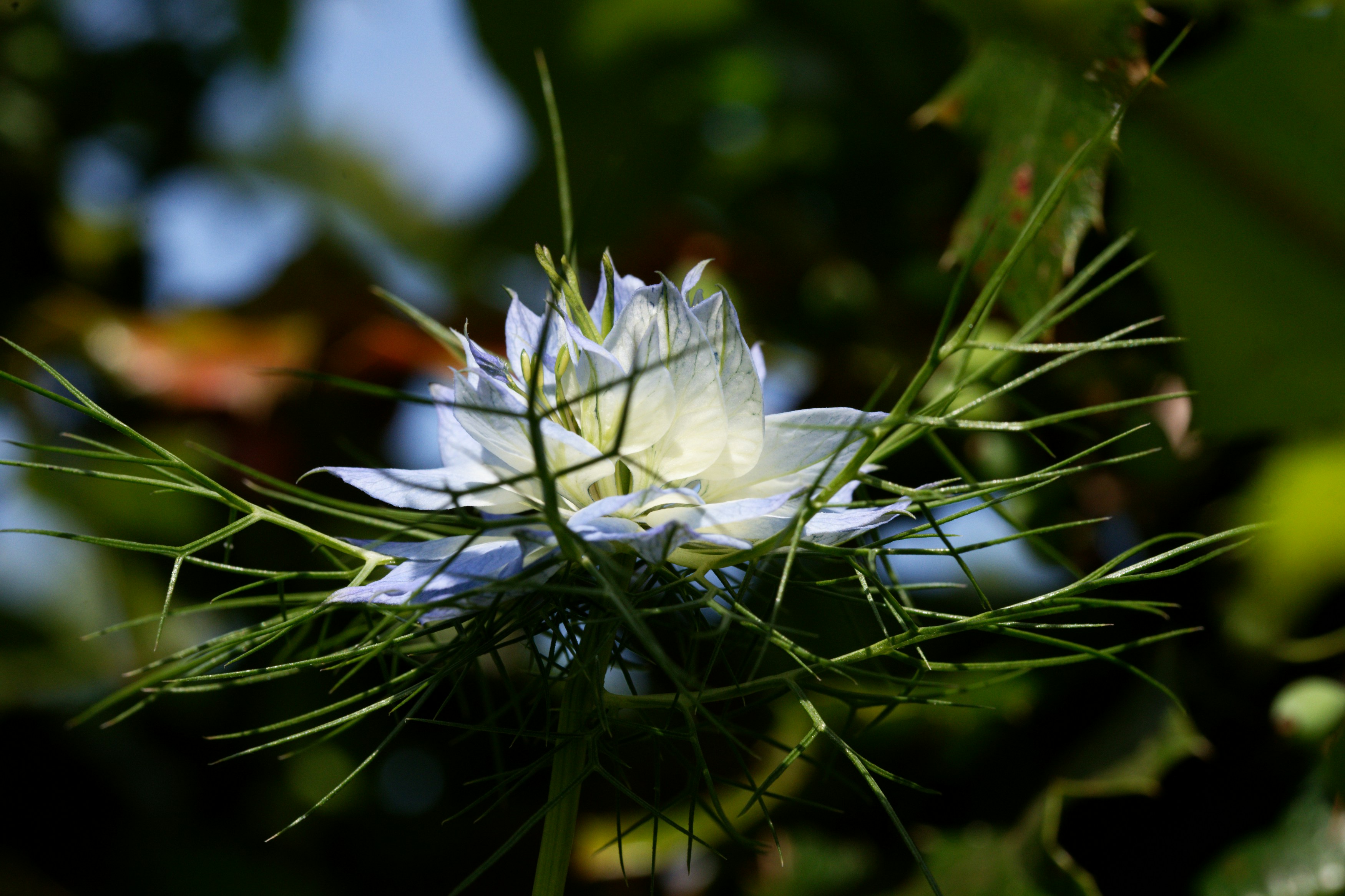 Photo by designbytholen