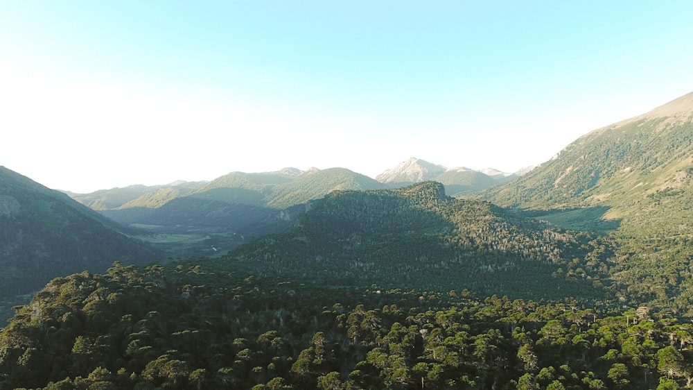 a landscape with trees and mountains in the back