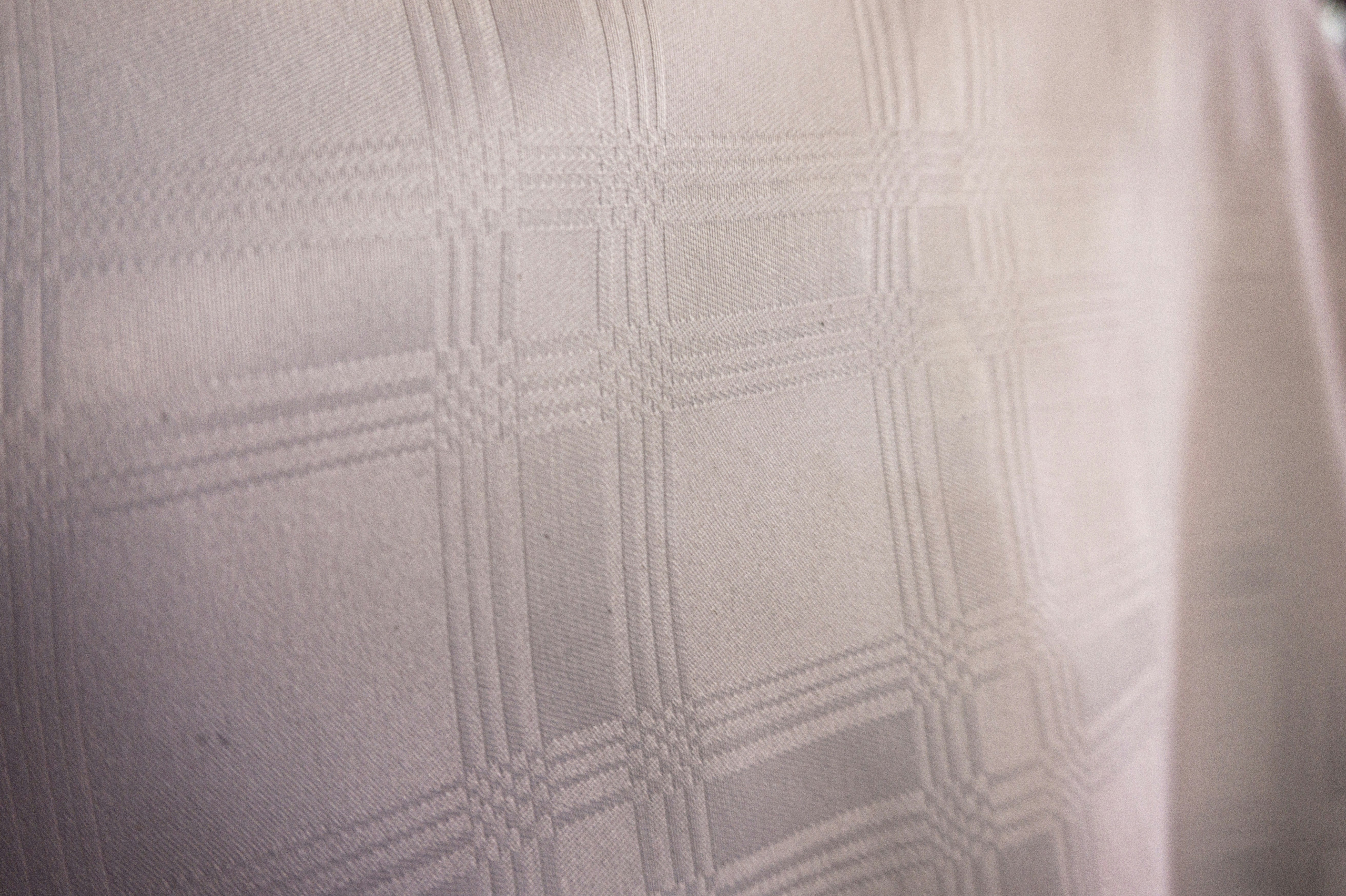 Photo by miguelphoto