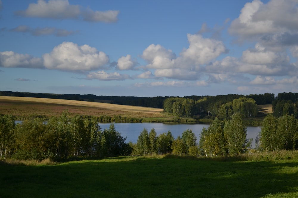 a lake surrounded by trees