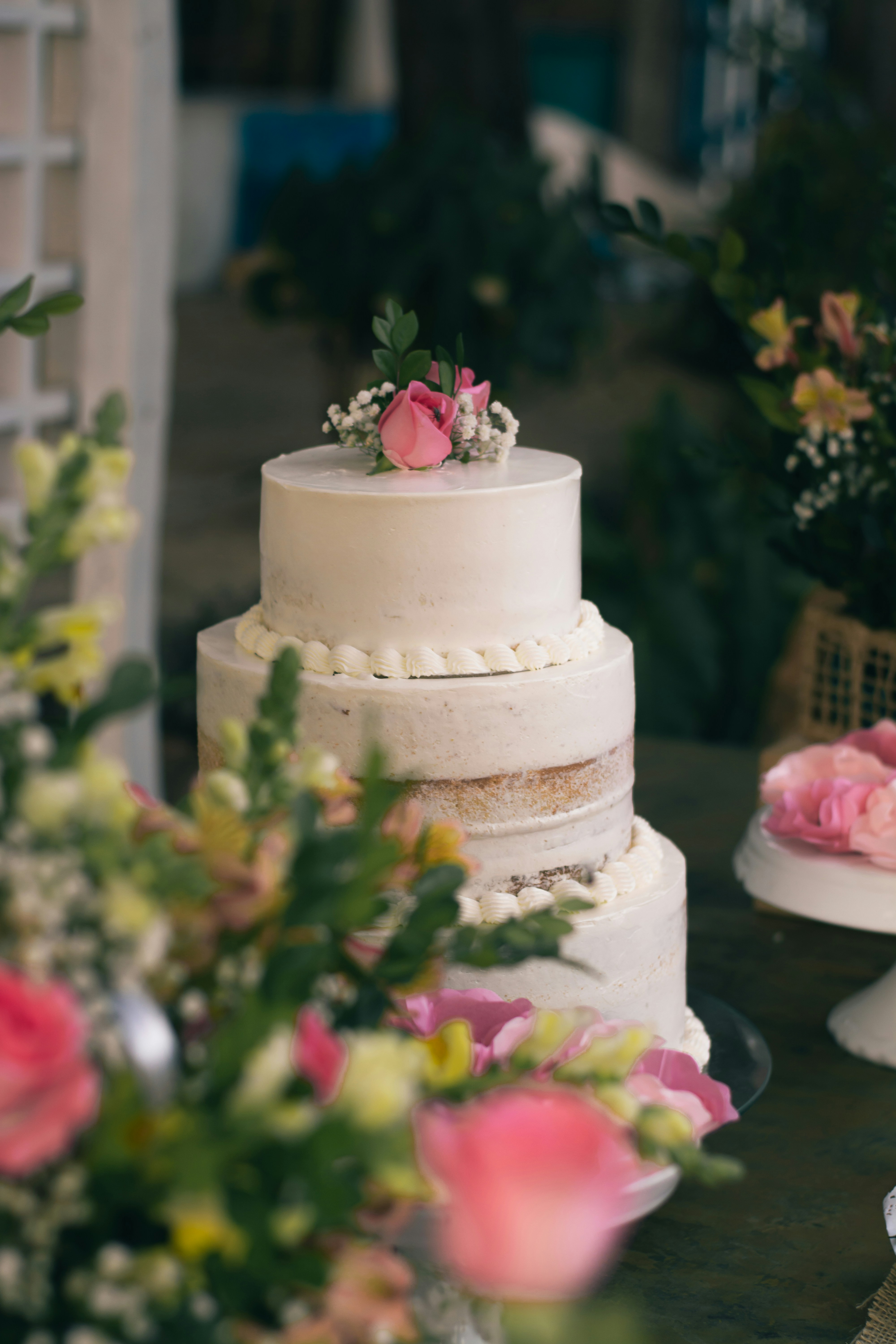 Photo by raffaalvess