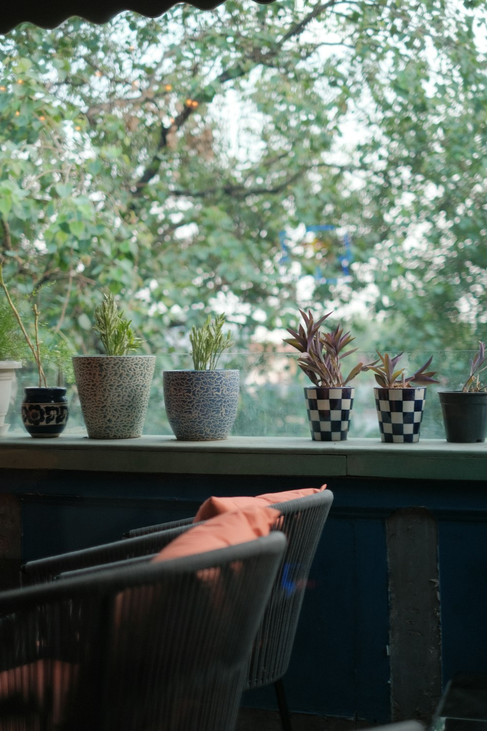 a person lying on a table with potted plants