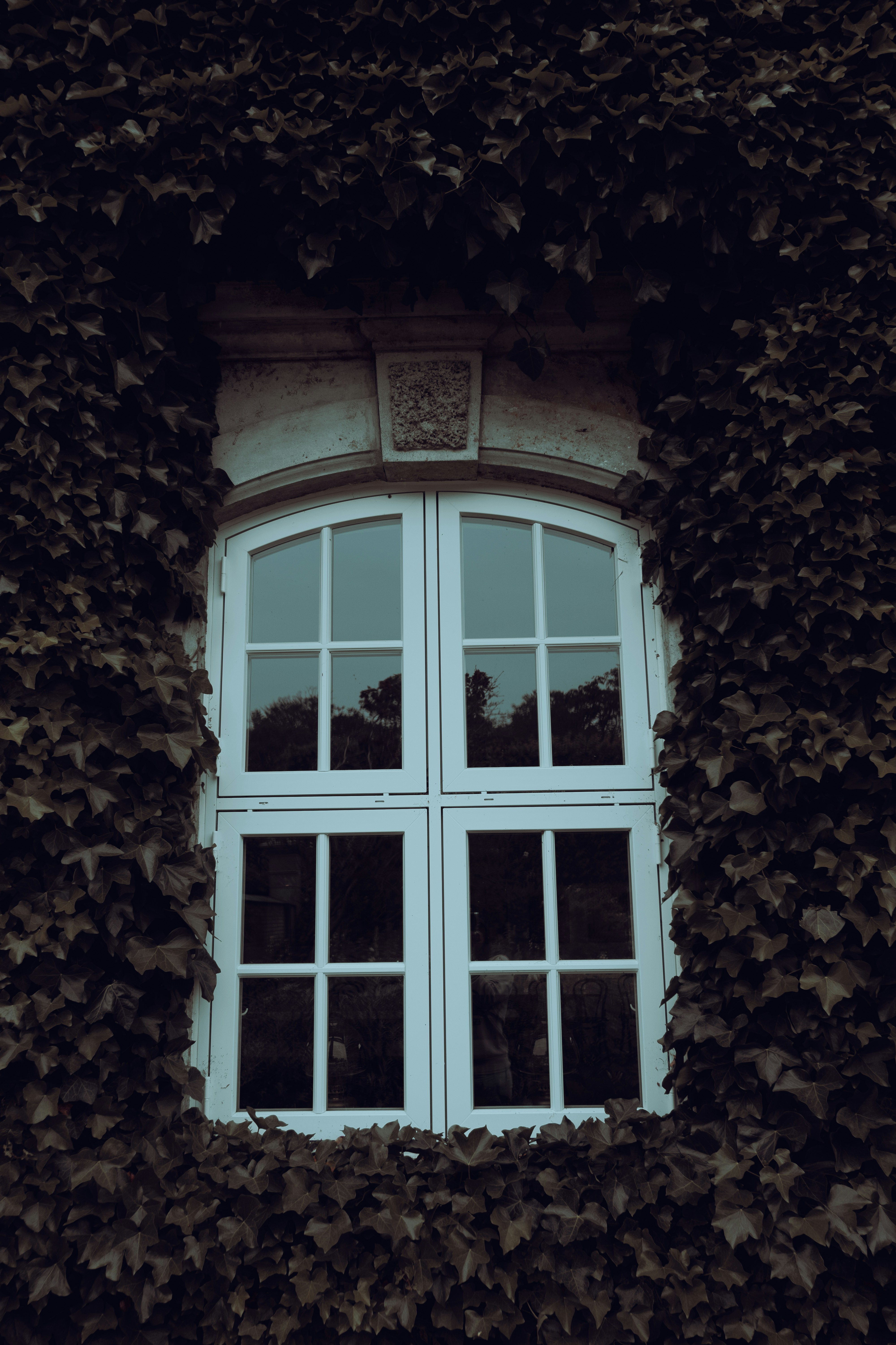 Ein Fenster in einer Wand