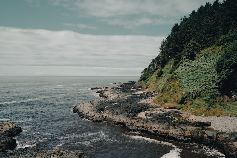 a rocky beach with trees on the side