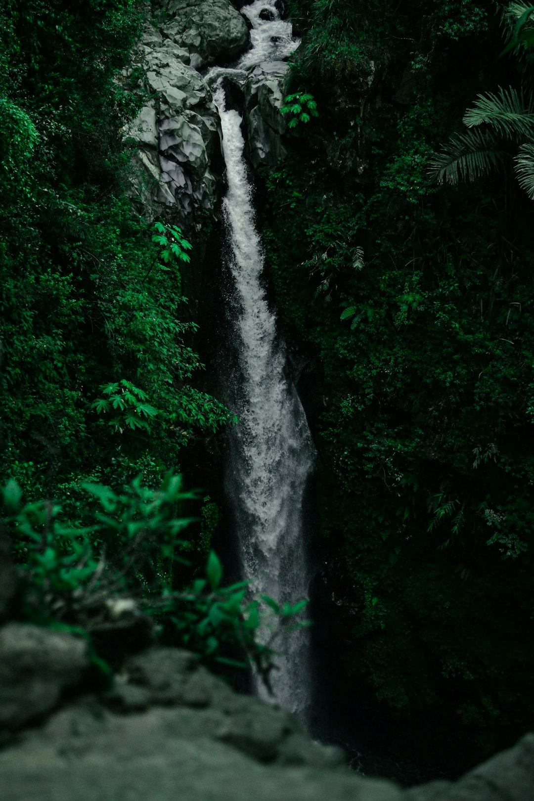 Waterfall photo spot Magelang Kulon Progo