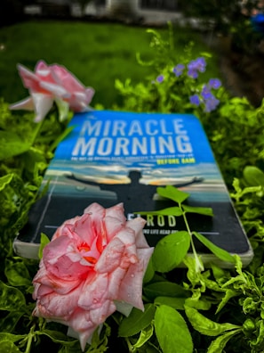 A book titled 'Miracle Morning' lies among lush green foliage and blooming flowers. The cover features a silhouette of a person with open arms against a calm sky. Dew-kissed pink roses and small purple flowers add to the serene setting.