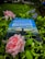 A book titled 'Miracle Morning' lies among lush green foliage and blooming flowers. The cover features a silhouette of a person with open arms against a calm sky. Dew-kissed pink roses and small purple flowers add to the serene setting.
