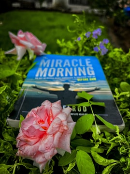 A book titled 'Miracle Morning' lies among lush green foliage and blooming flowers. The cover features a silhouette of a person with open arms against a calm sky. Dew-kissed pink roses and small purple flowers add to the serene setting.
