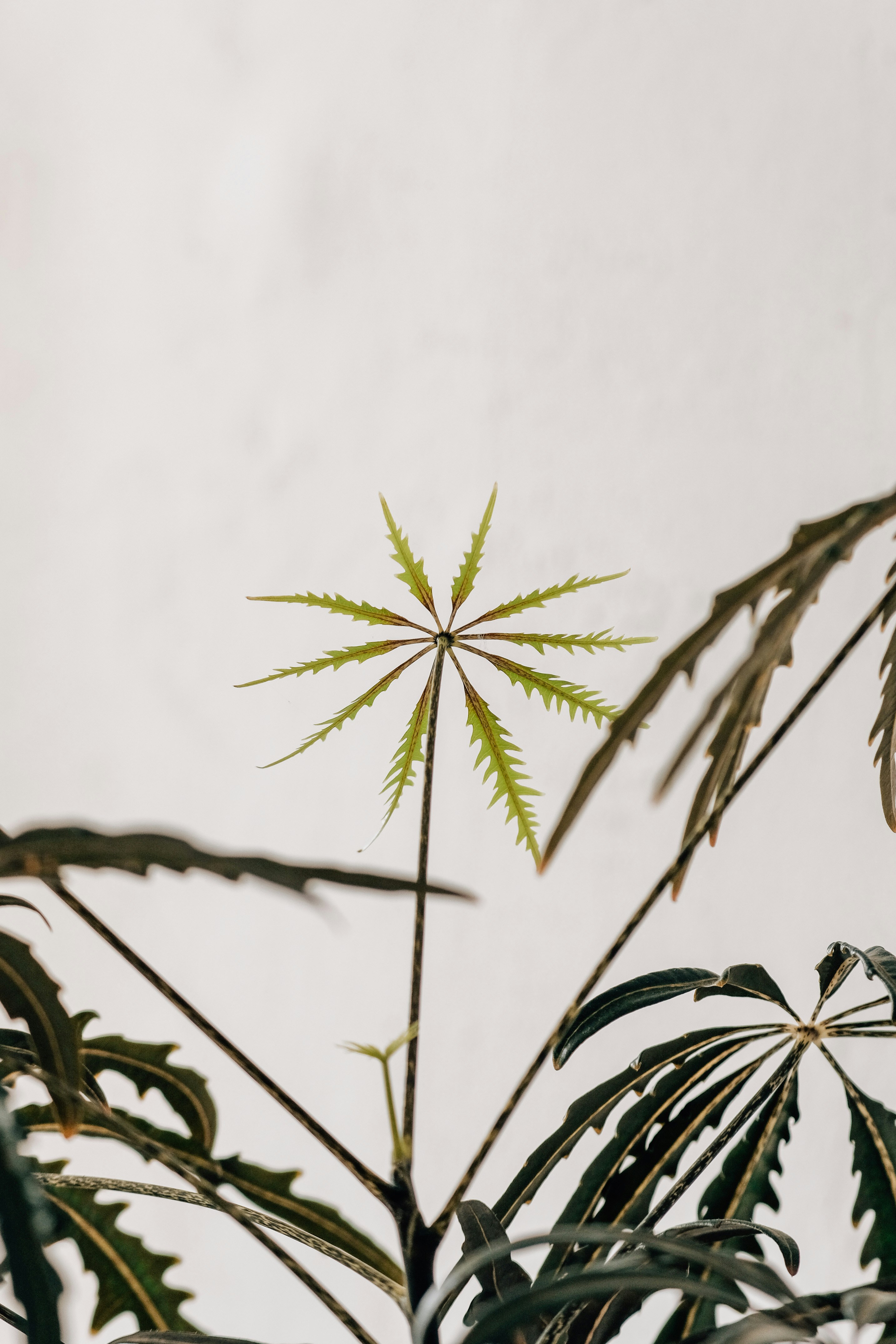 Photo by insungpandora