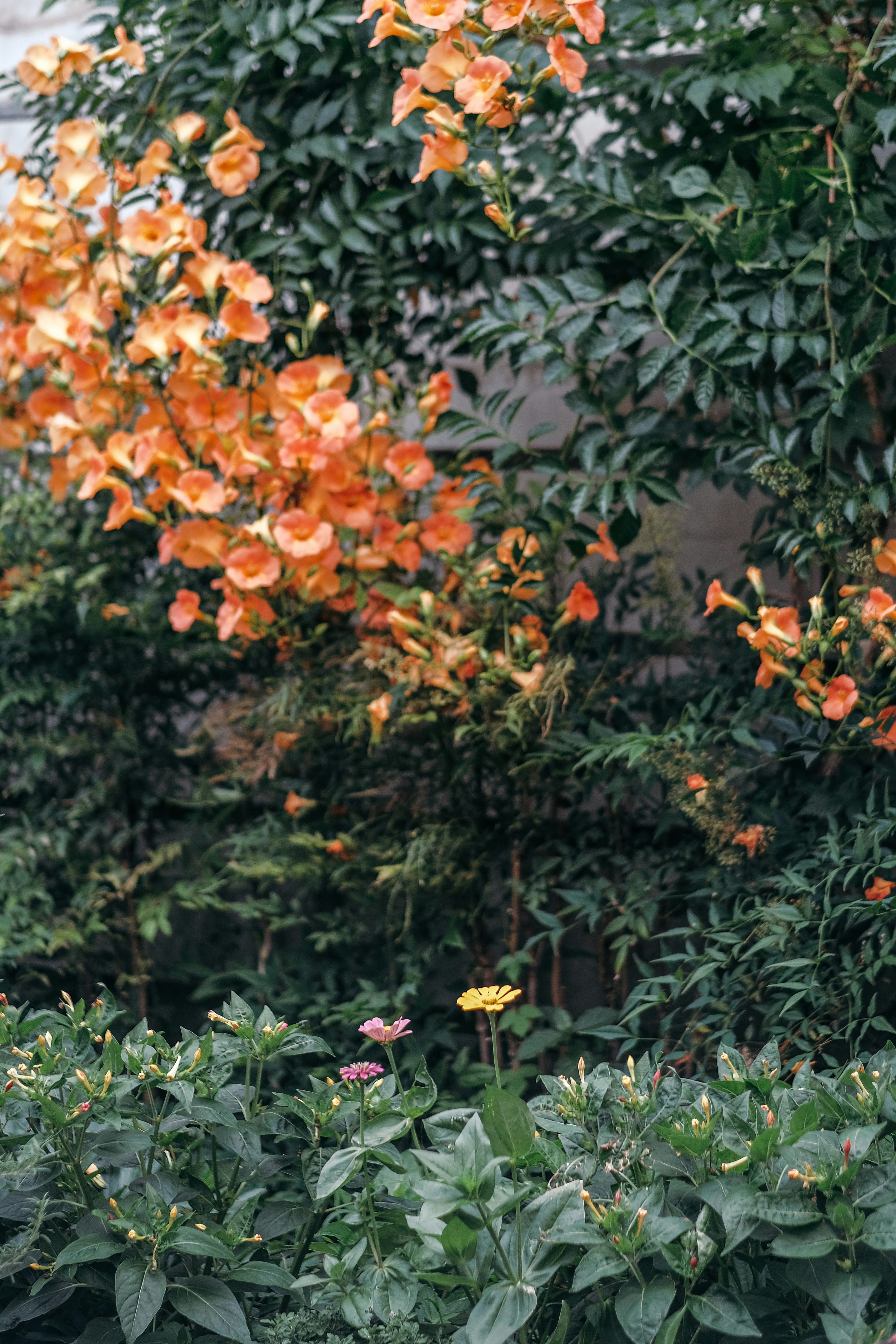 Photo by insungpandora