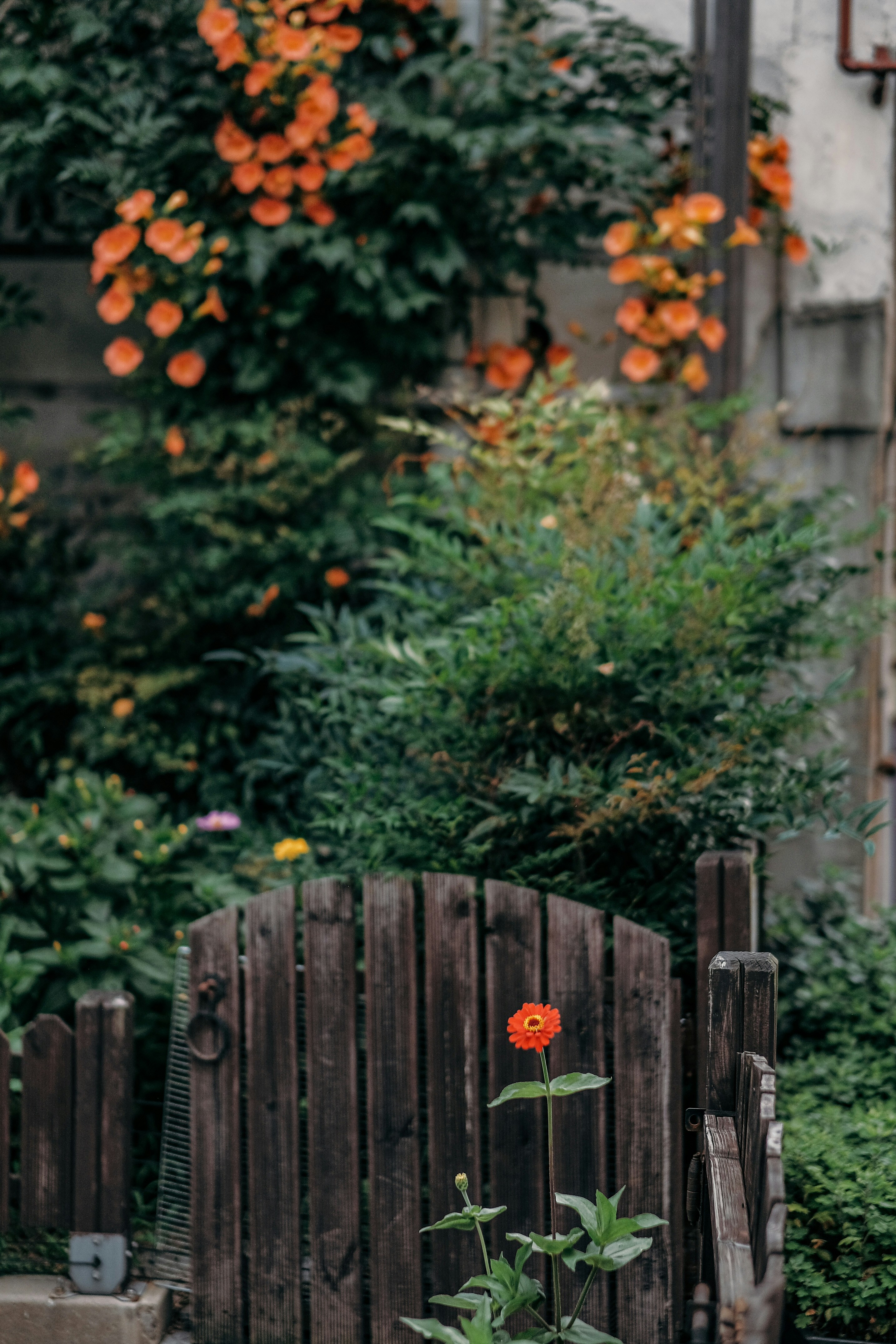 Photo by insungpandora