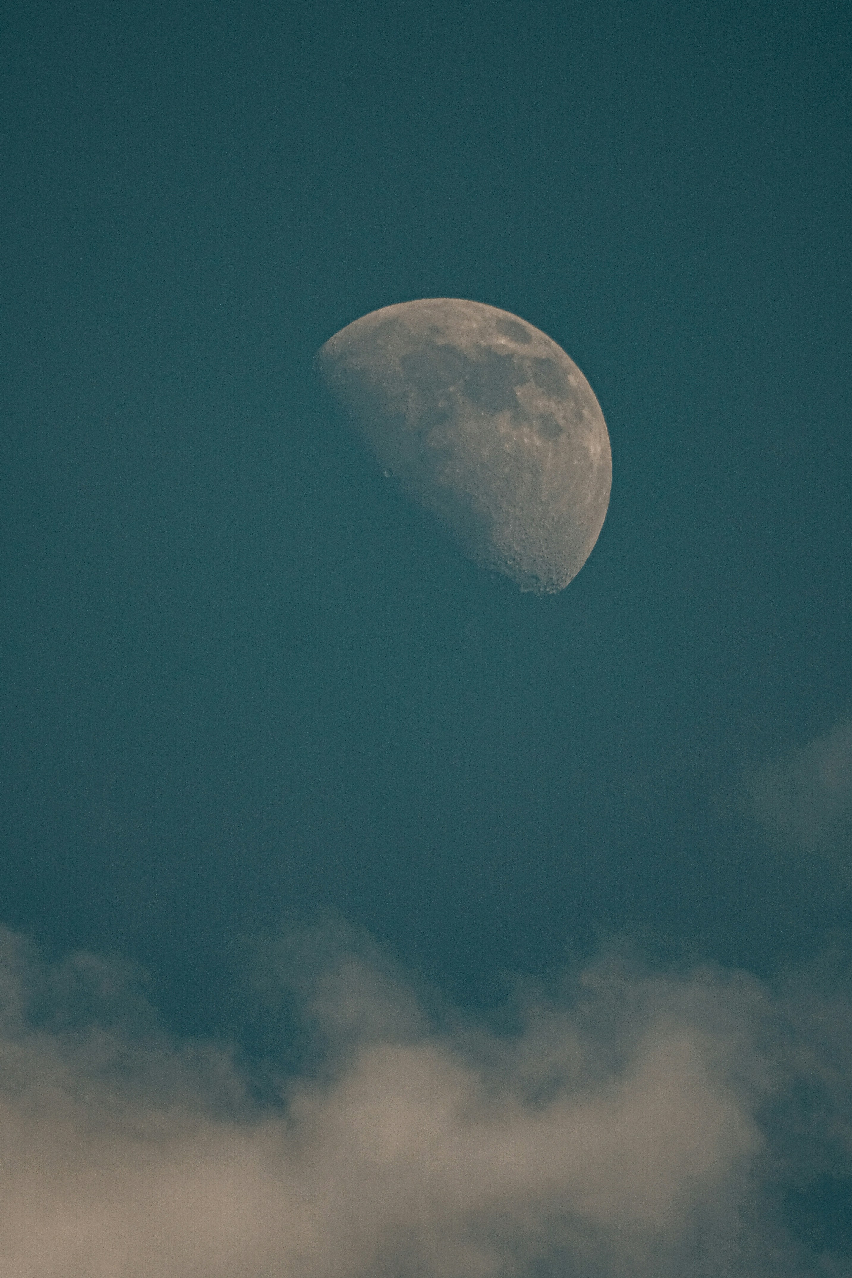 Photo by insungpandora