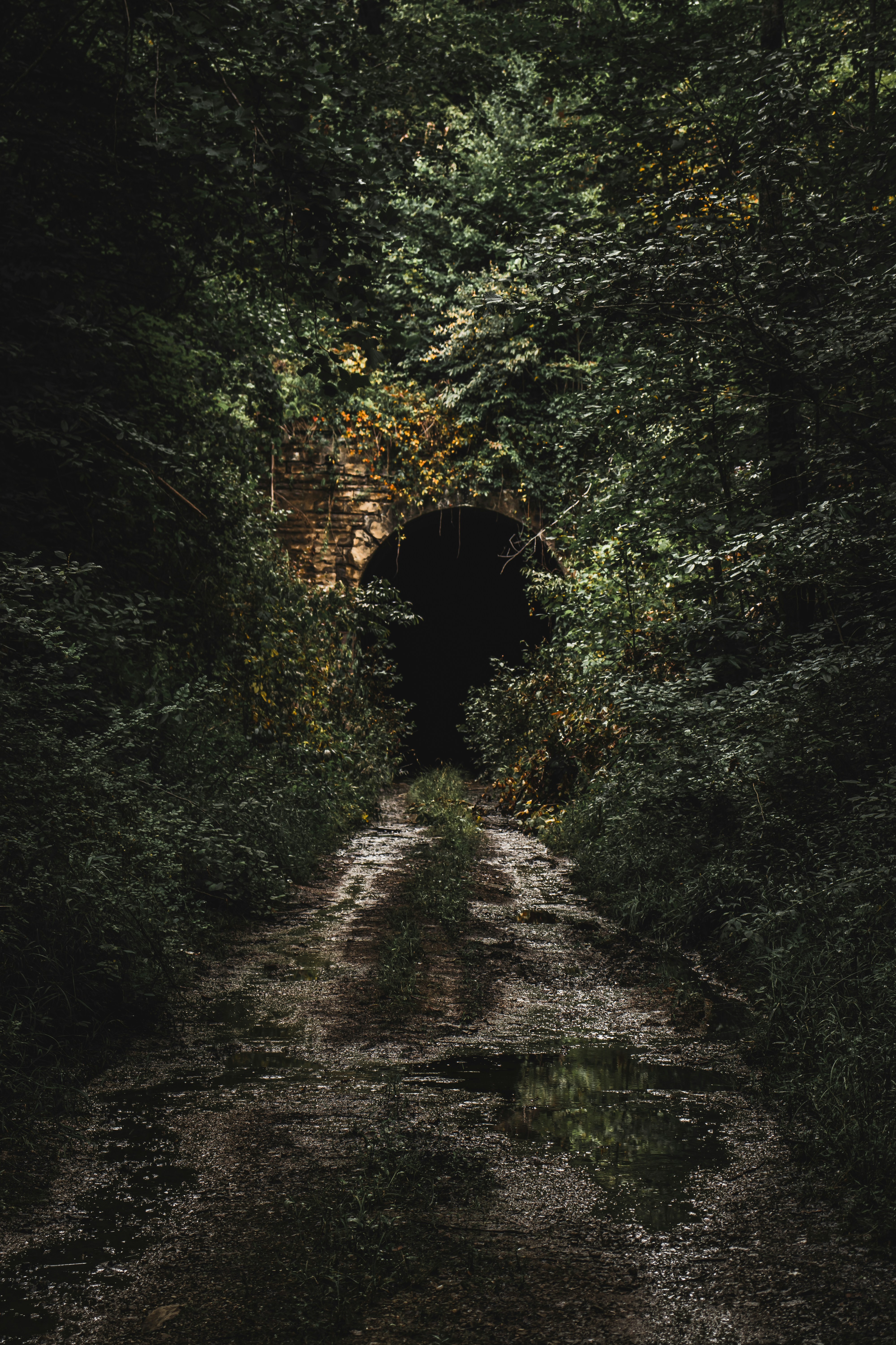 Photo by brice_cooper18