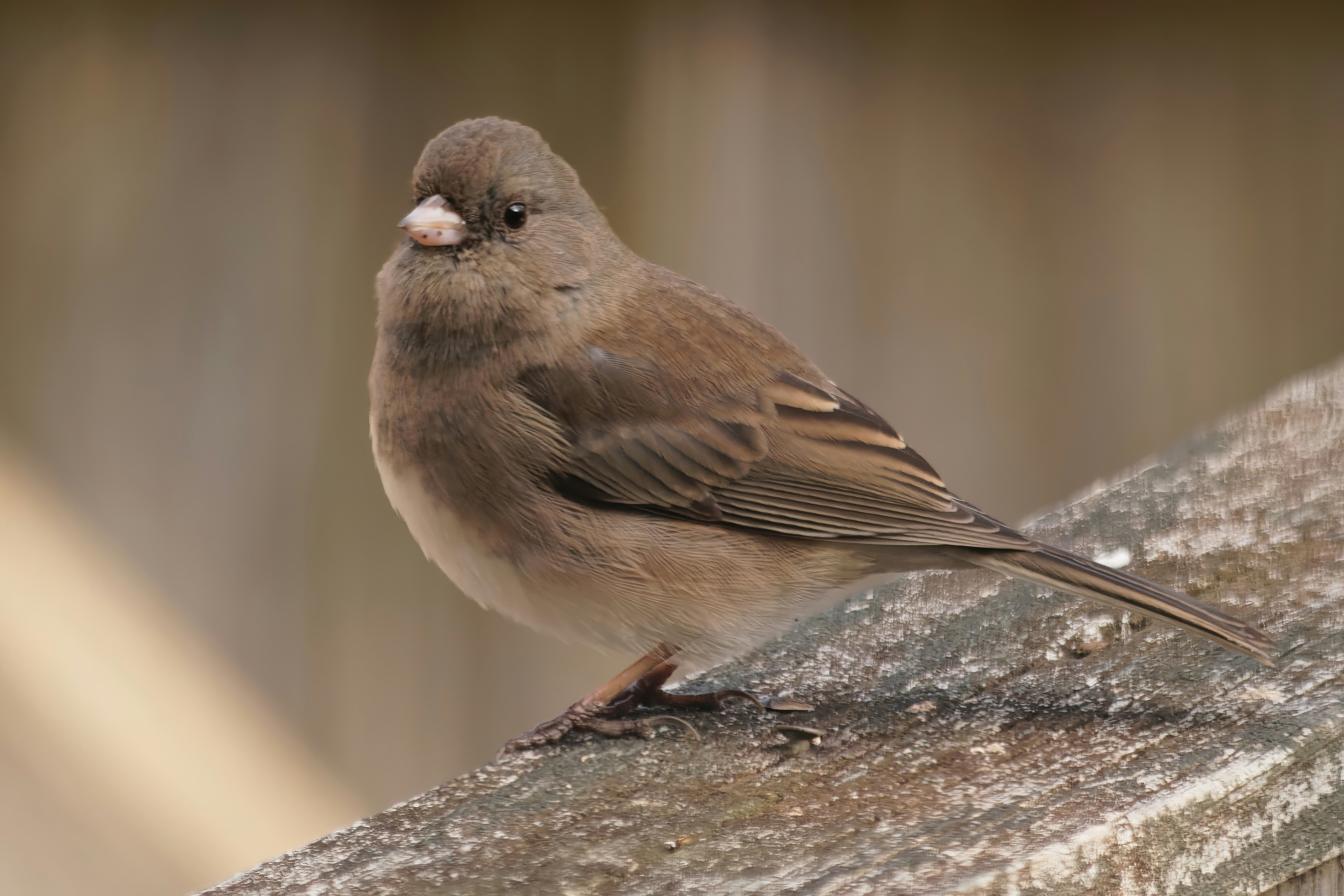 Photo by marshall21663