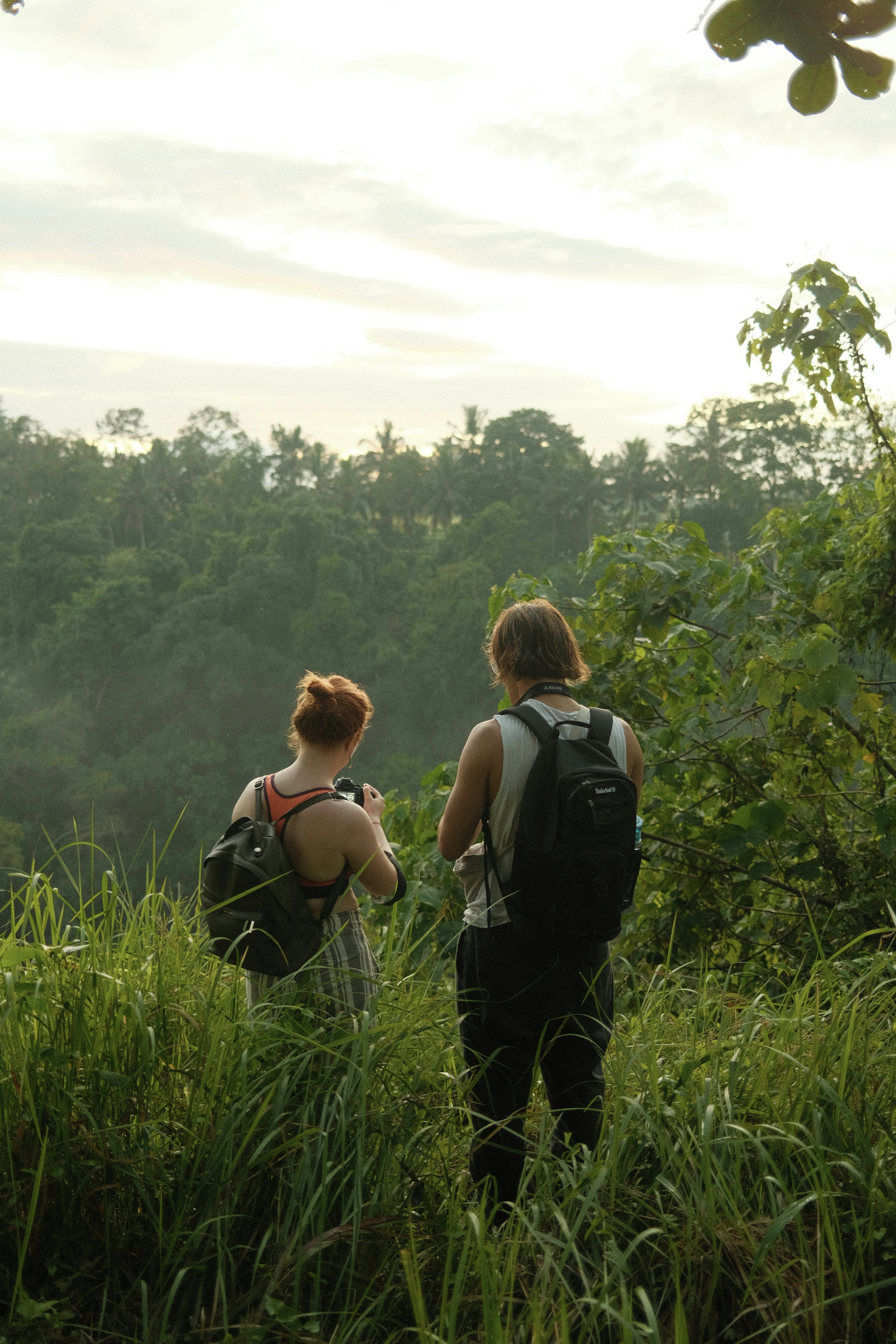15 Adventure Travel Ideas to Discover South America’s Hidden Jungles
