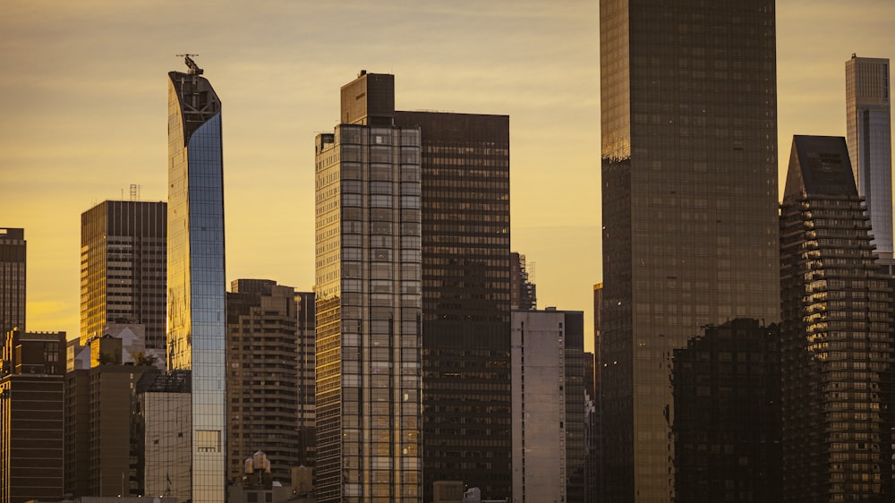 a city skyline with tall buildings