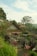 A lush tropical landscape features a series of thatched-roof structures nestled among vibrant greenery. The scene includes palm trees and various plants with red and green foliage, typical of a tropical environment. Narrow pathways and railings guide through the landscape, suggesting accessibility and exploration.
