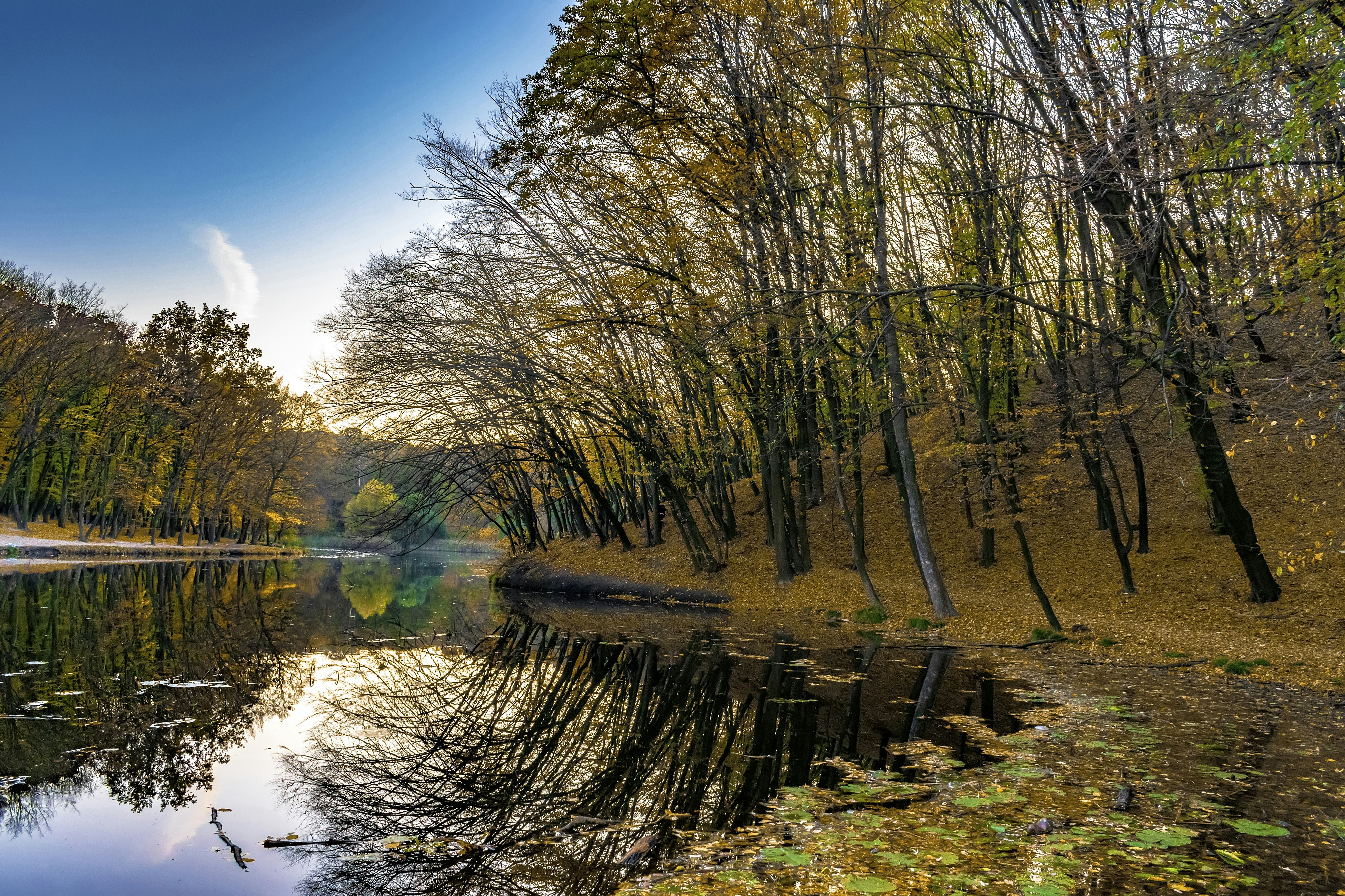 Photo by kostiantynvierkieiev