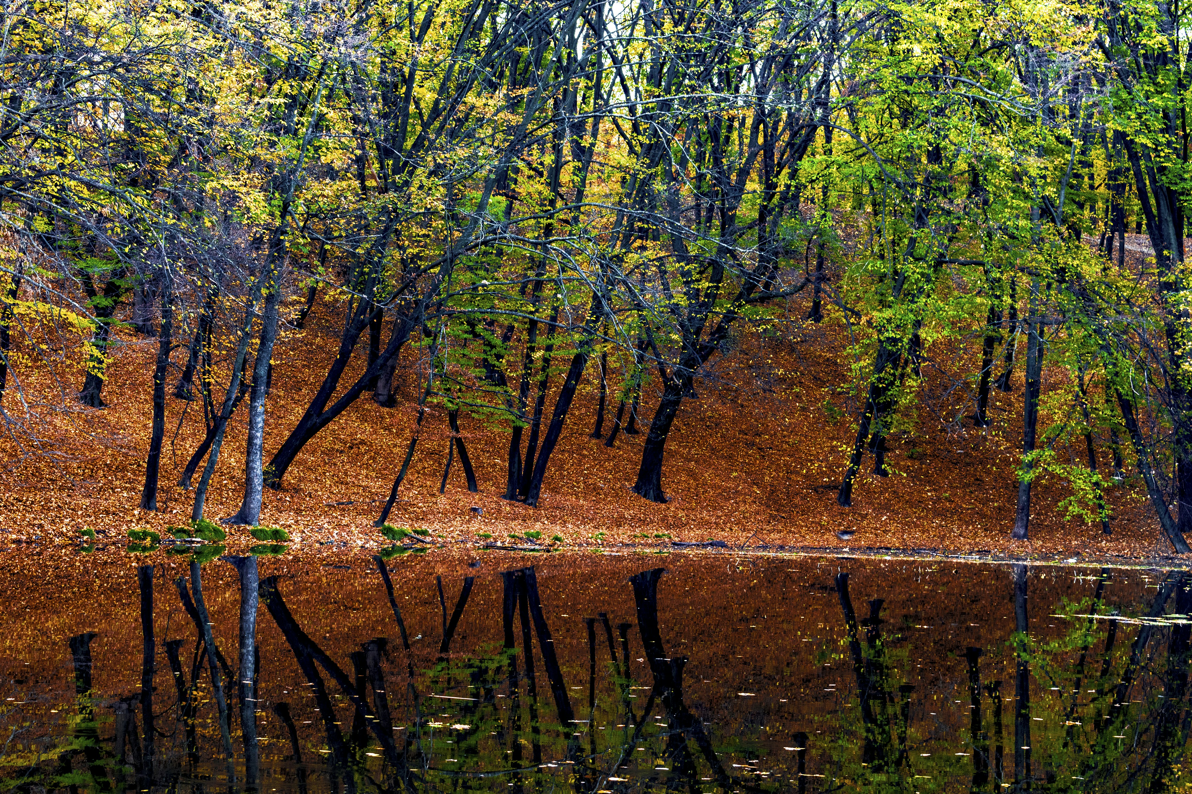 Photo by kostiantynvierkieiev