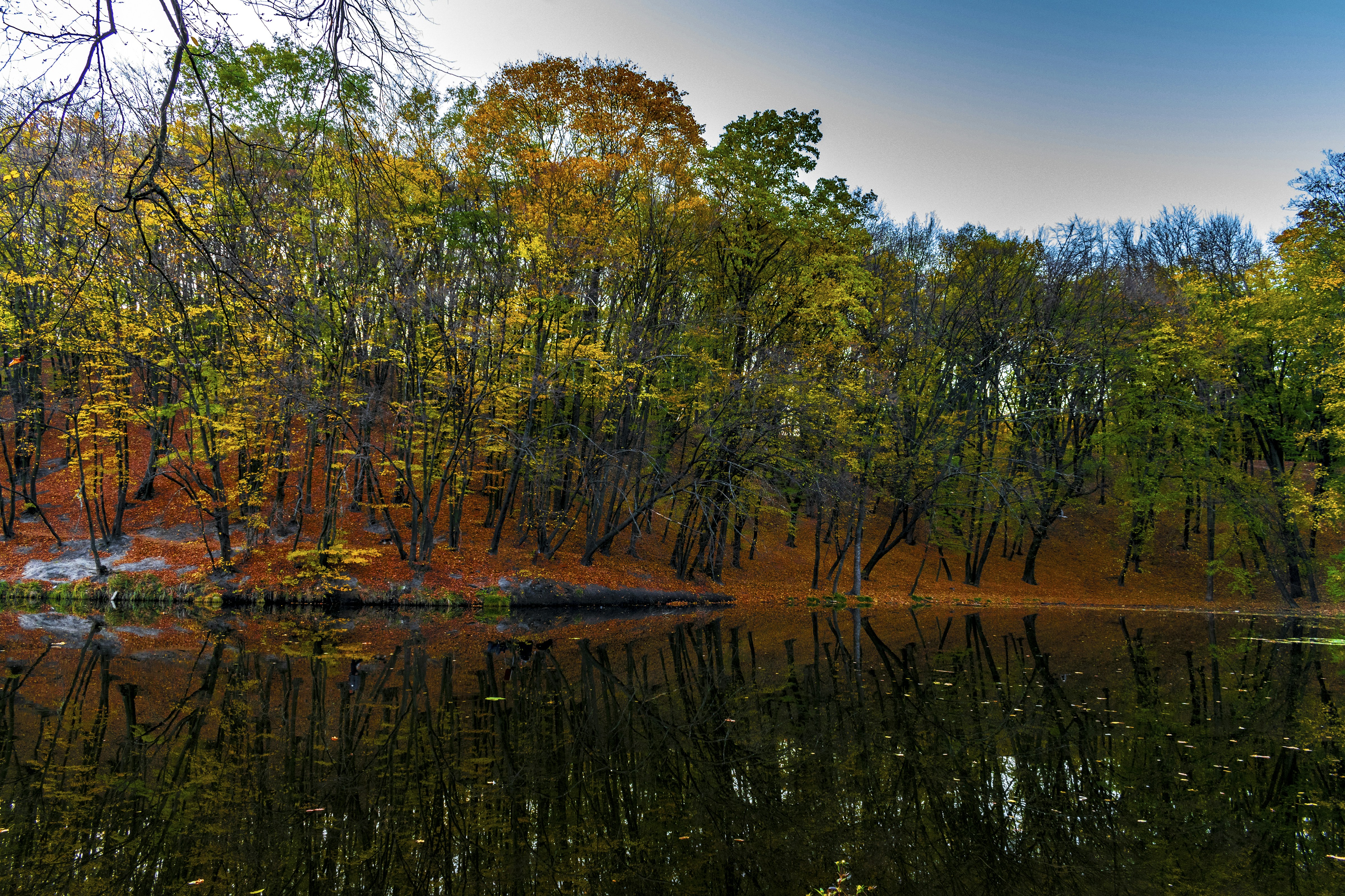 Photo by kostiantynvierkieiev