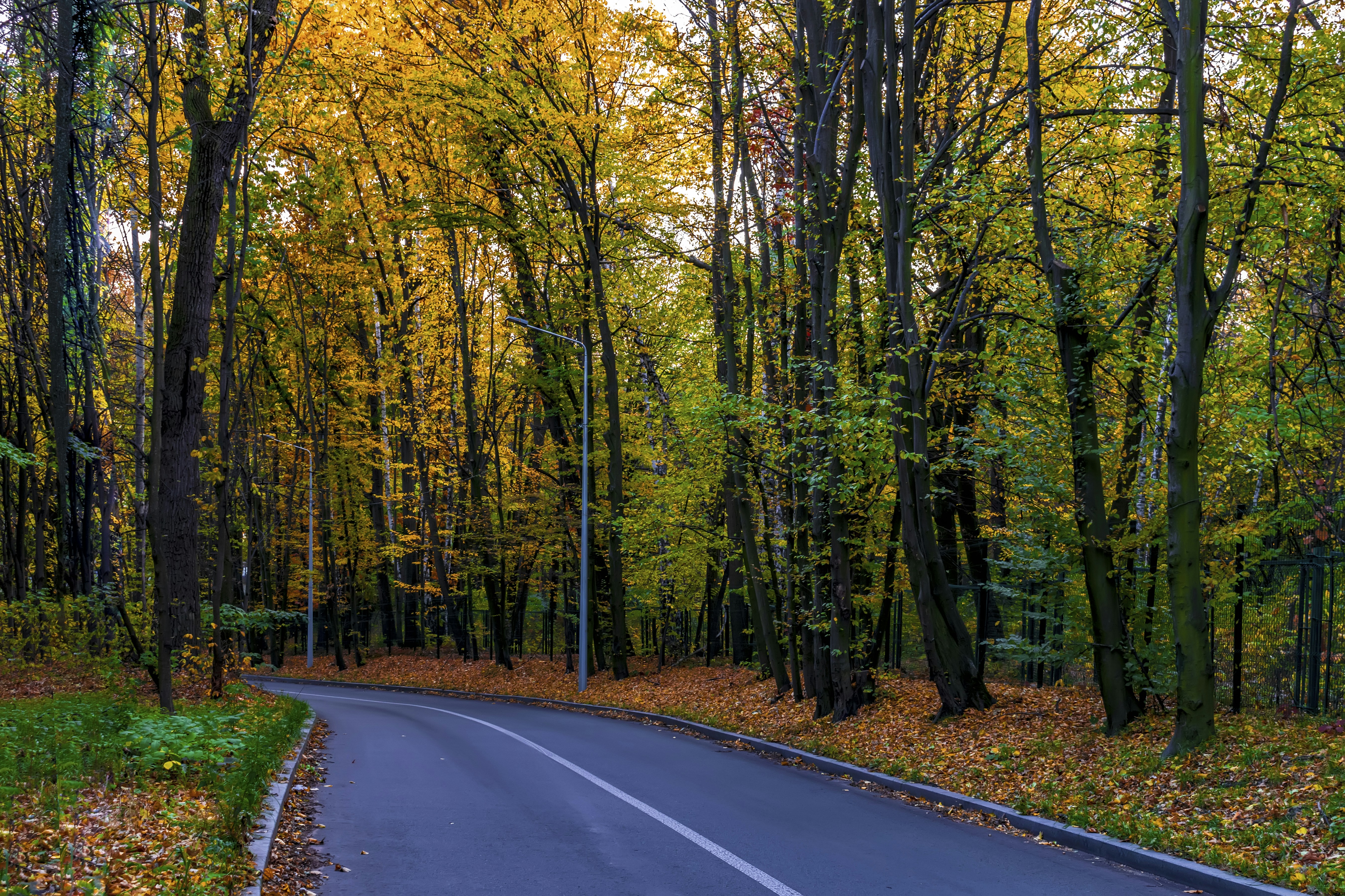 Photo by kostiantynvierkieiev