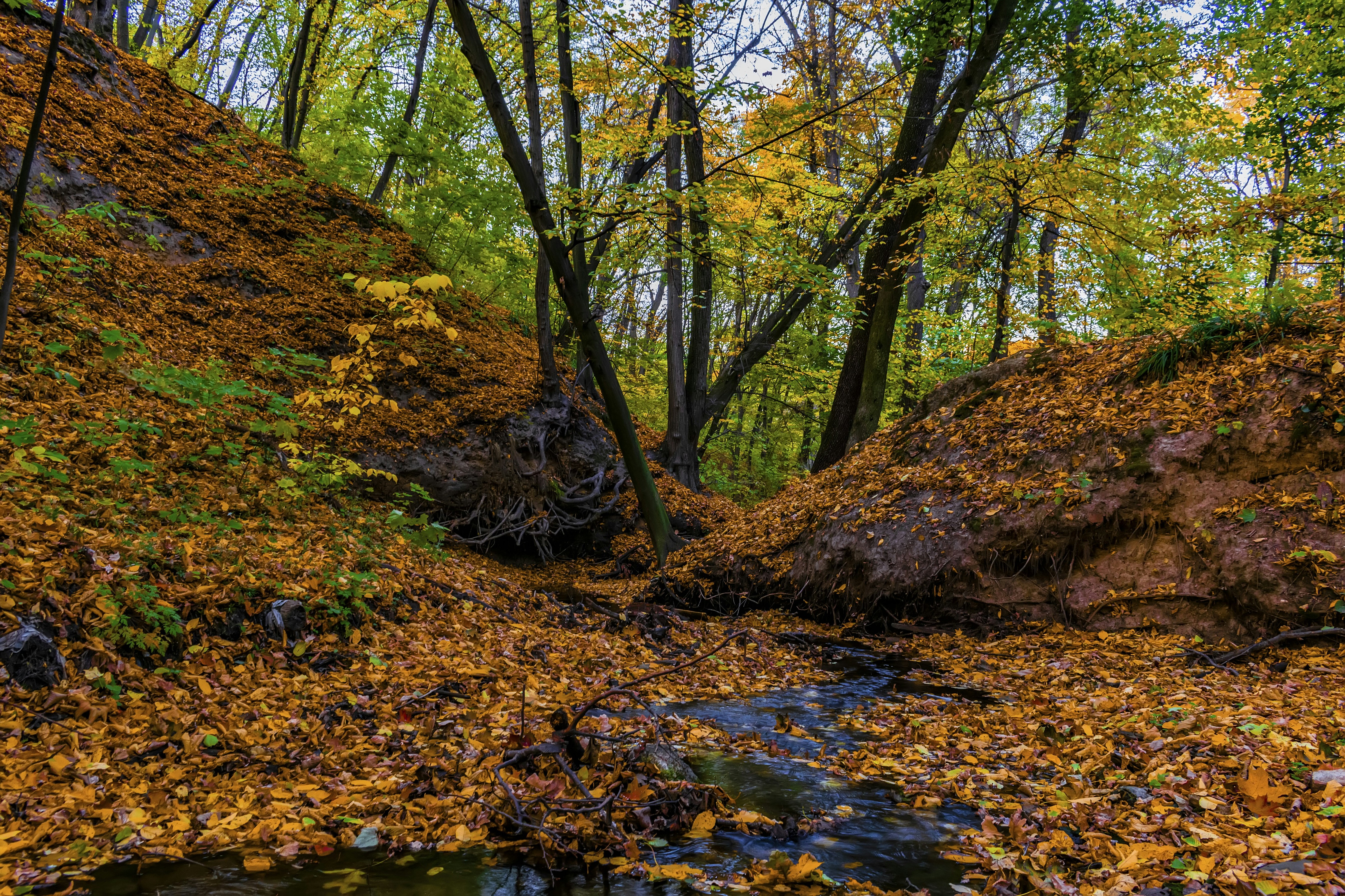 Photo by kostiantynvierkieiev