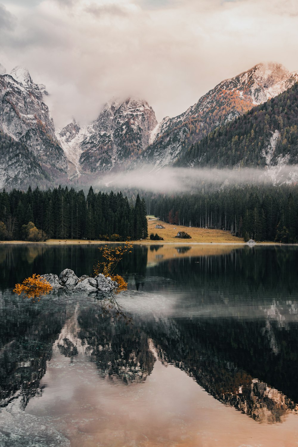 a lake with snow and trees