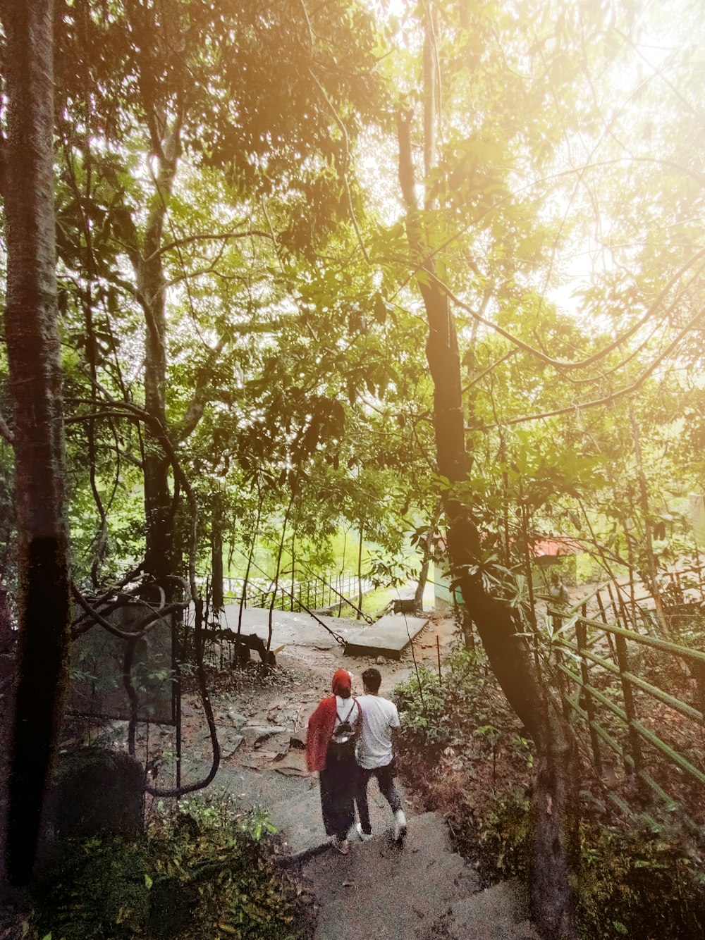a man and woman walking on a path through a forest