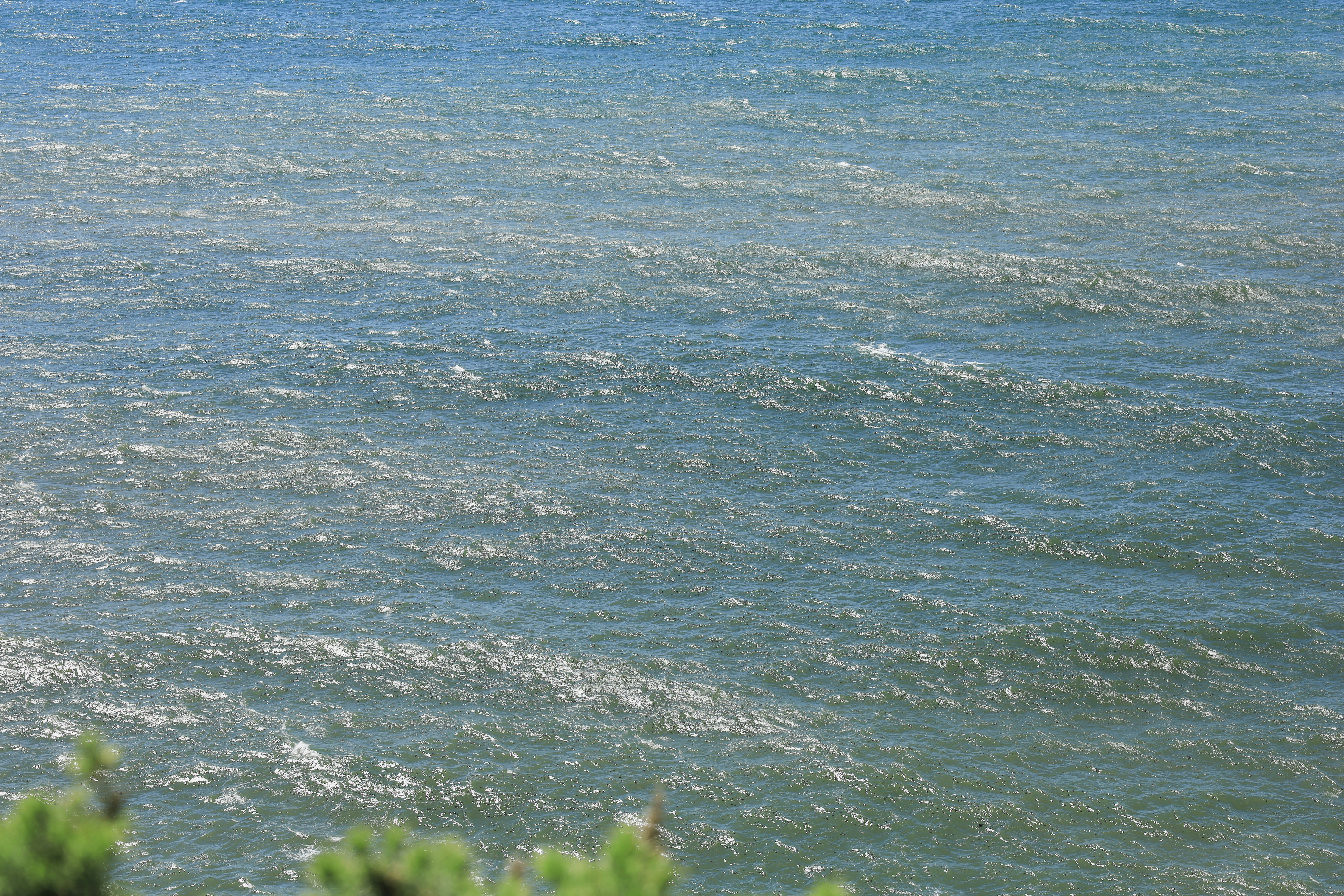 Photo by linlanphoto