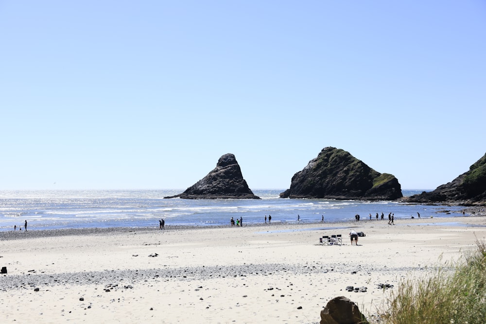 a group of people on a beach