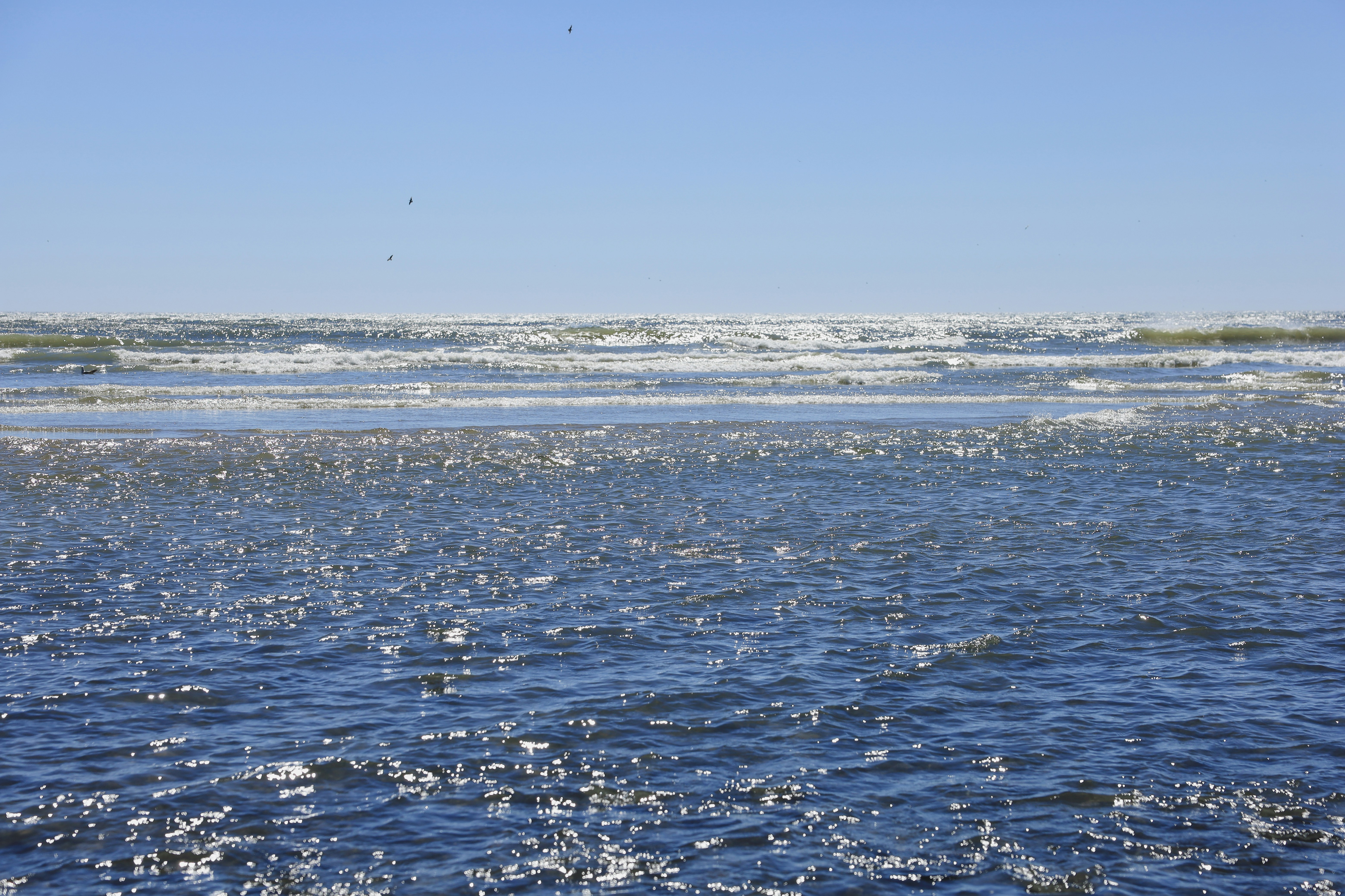 Photo by linlanphoto