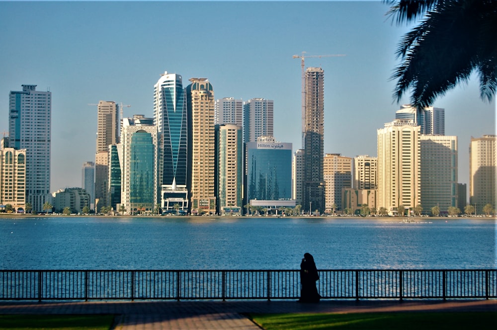 a person standing on a bridge over water with a city in the background