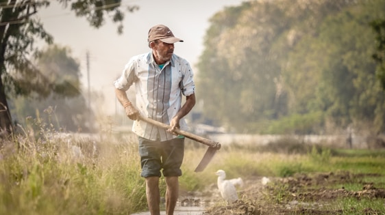 a person holding a stick and a dog in a field