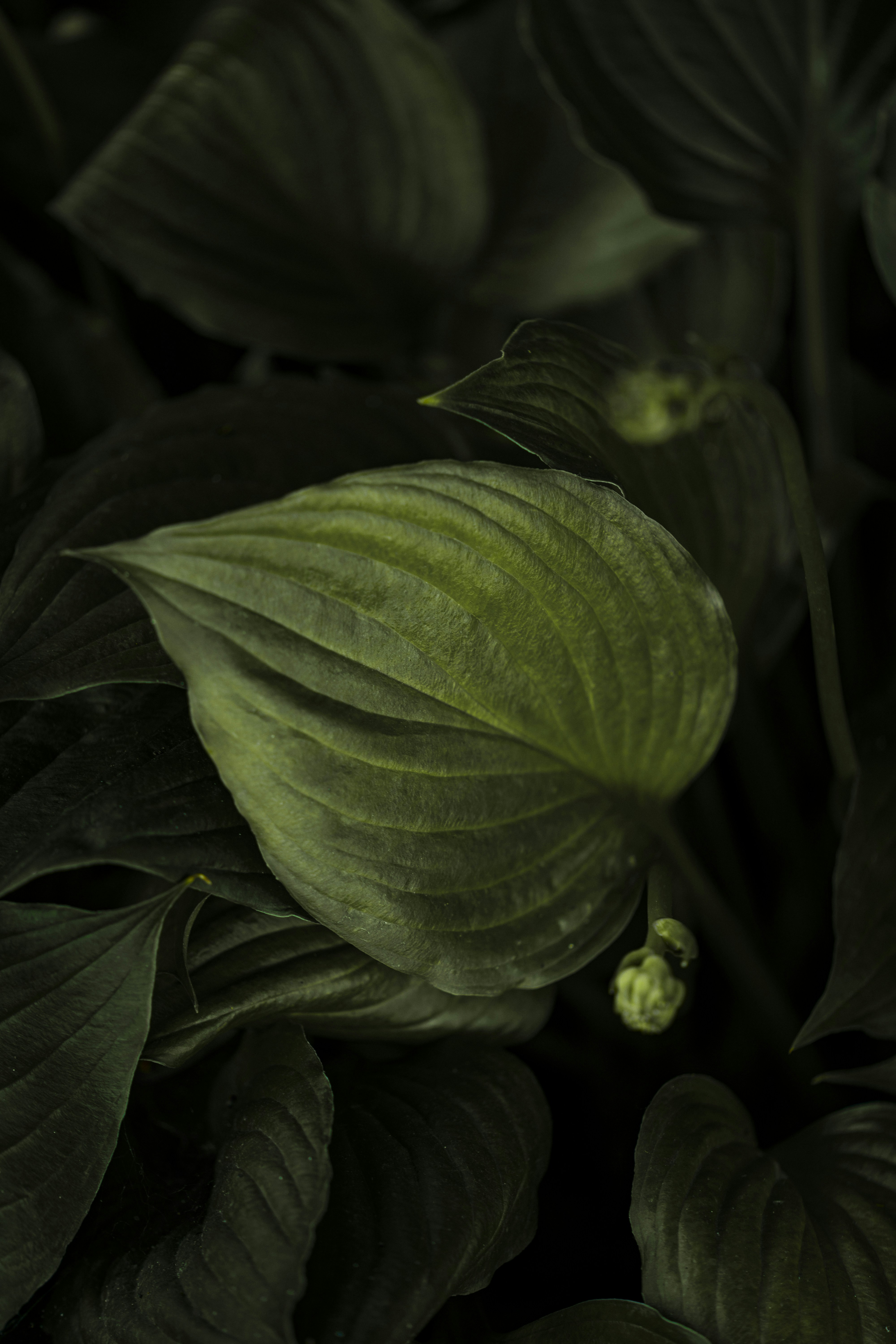 Photo by maksym_tymchyk