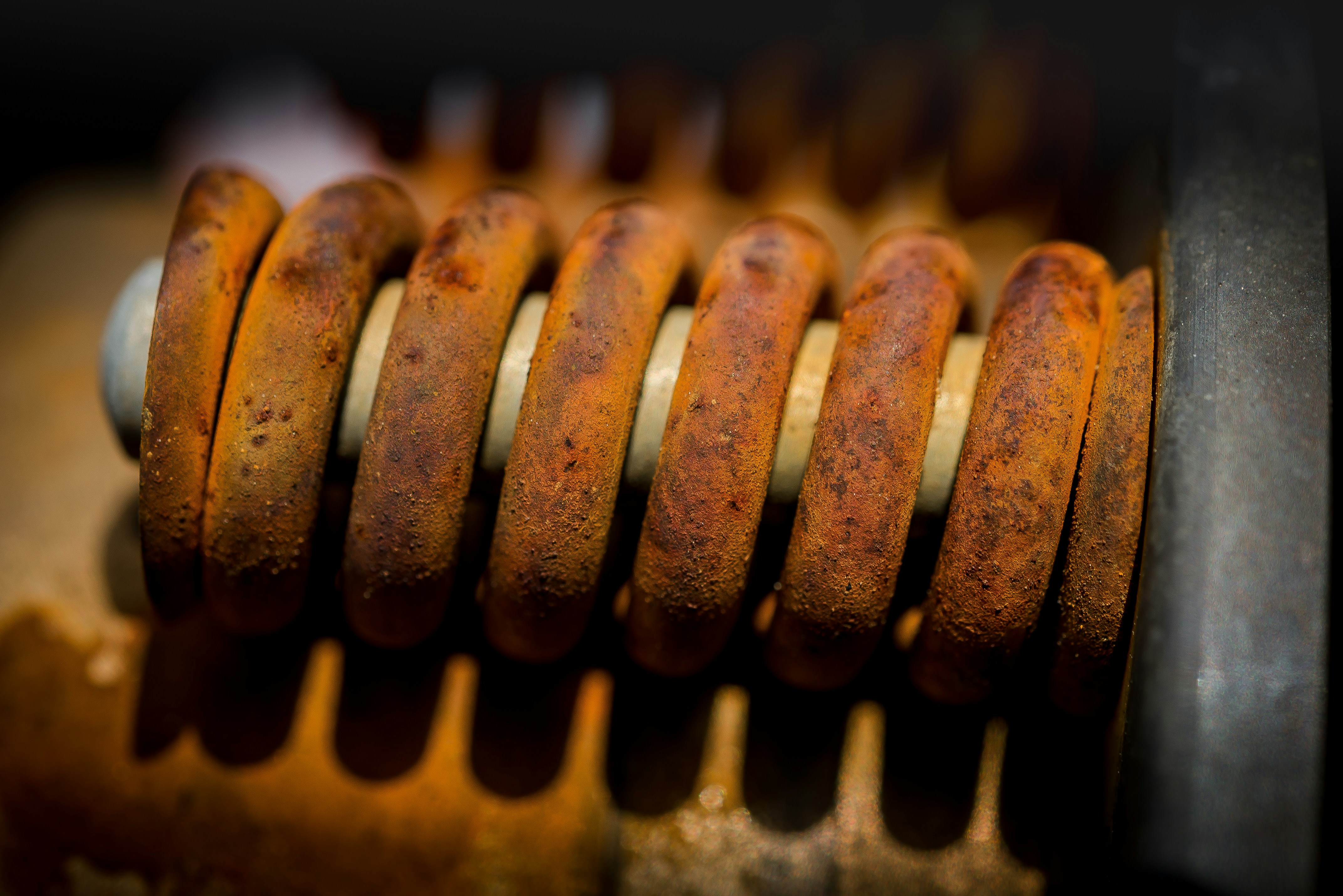 Happy Spring NH! Happy Fall SH!