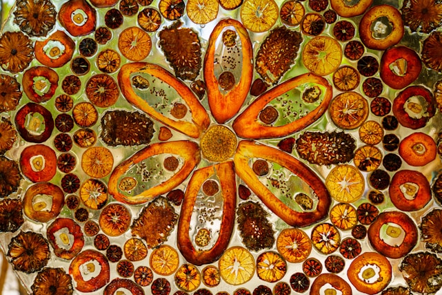 mandala can be found in nature