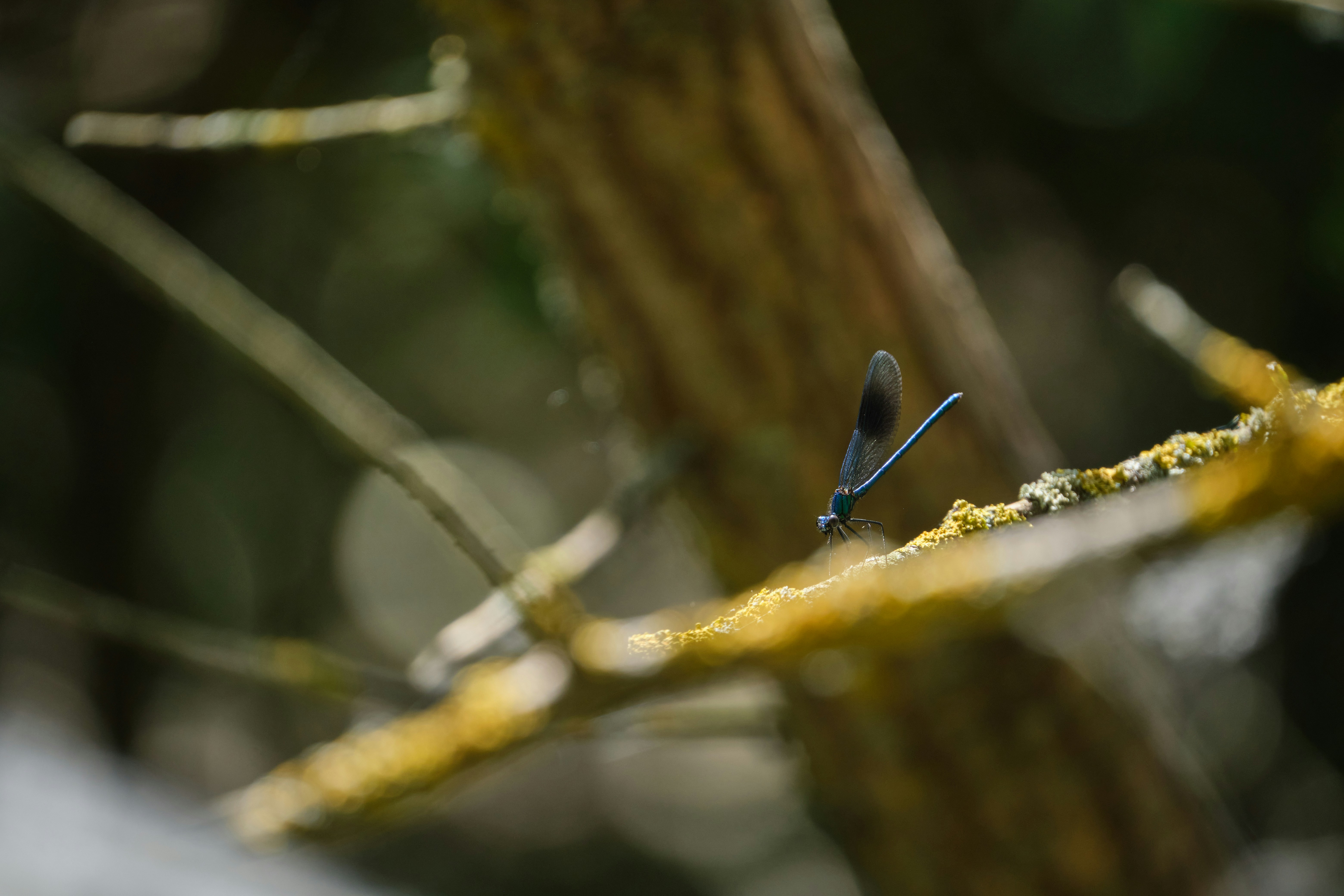 Photo by halofourteen