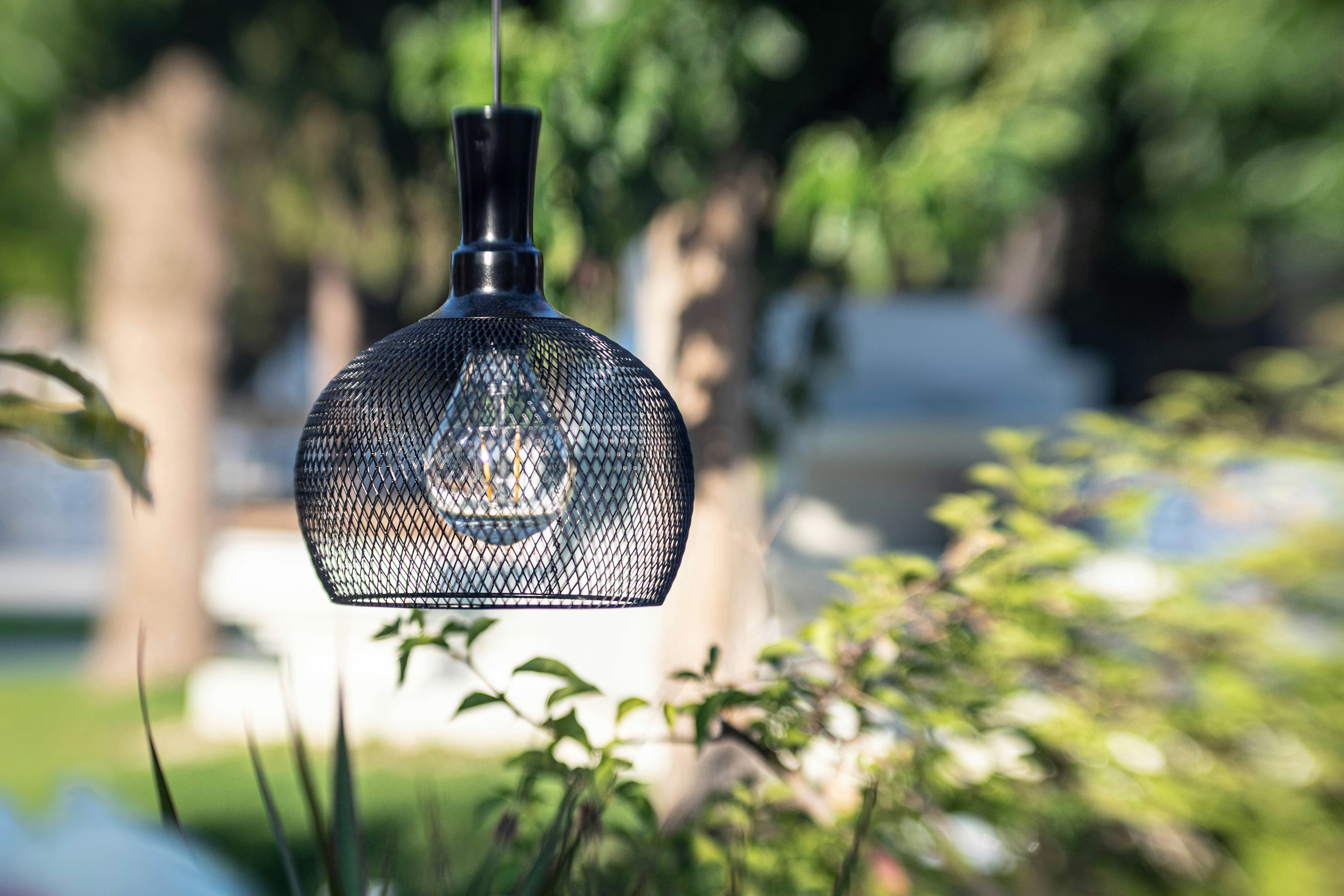 uma luz de uma árvore
