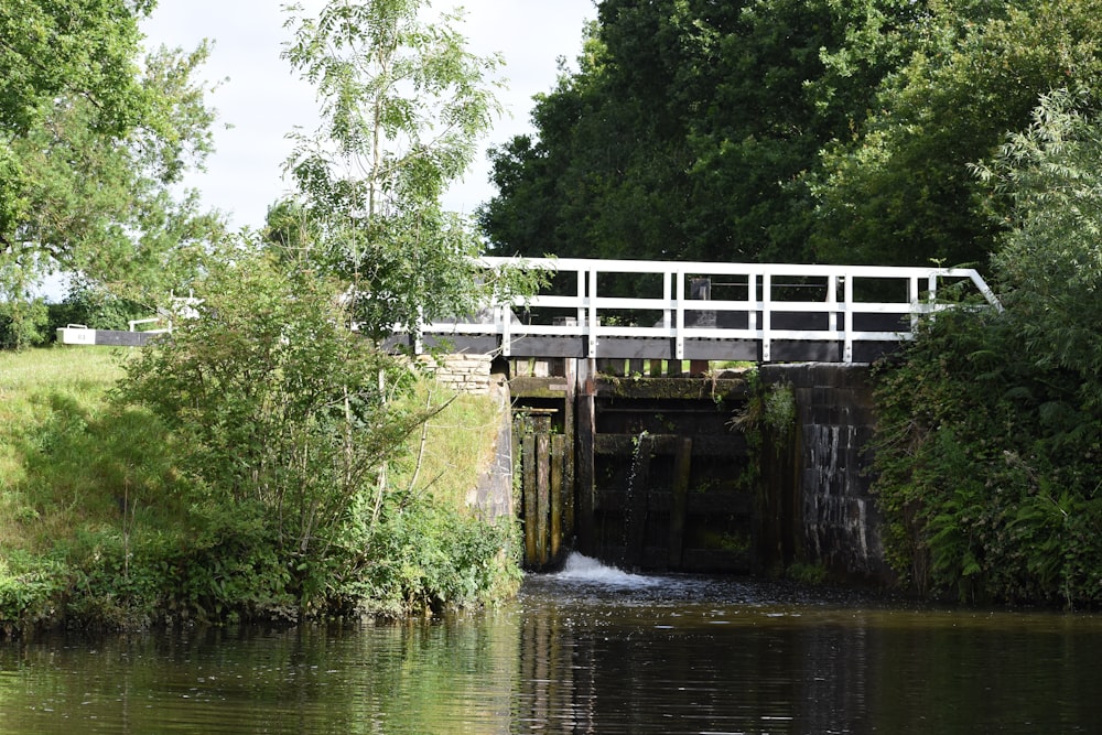 un train sur un pont au-dessus d’une rivière