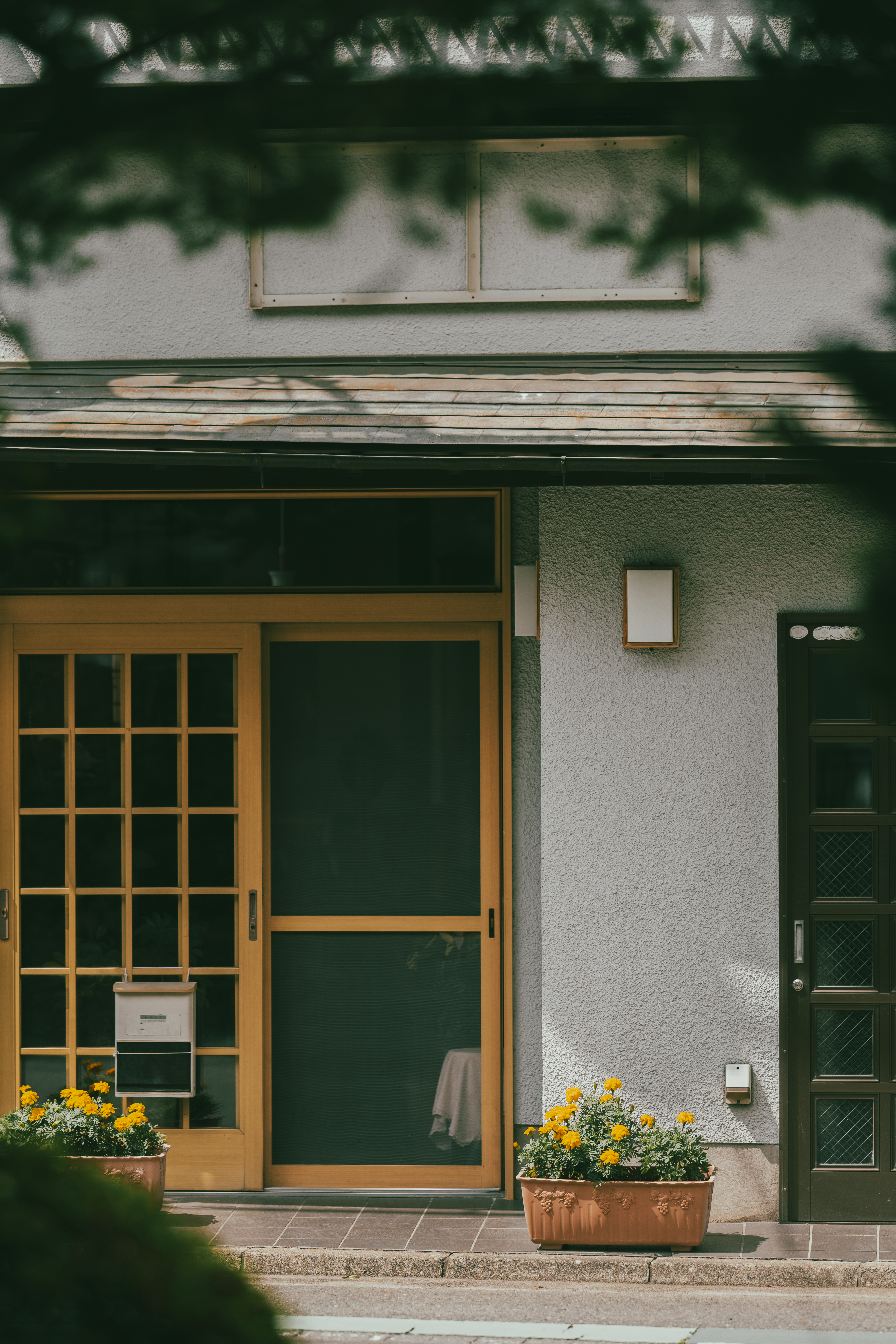 Photo by tiendat4393