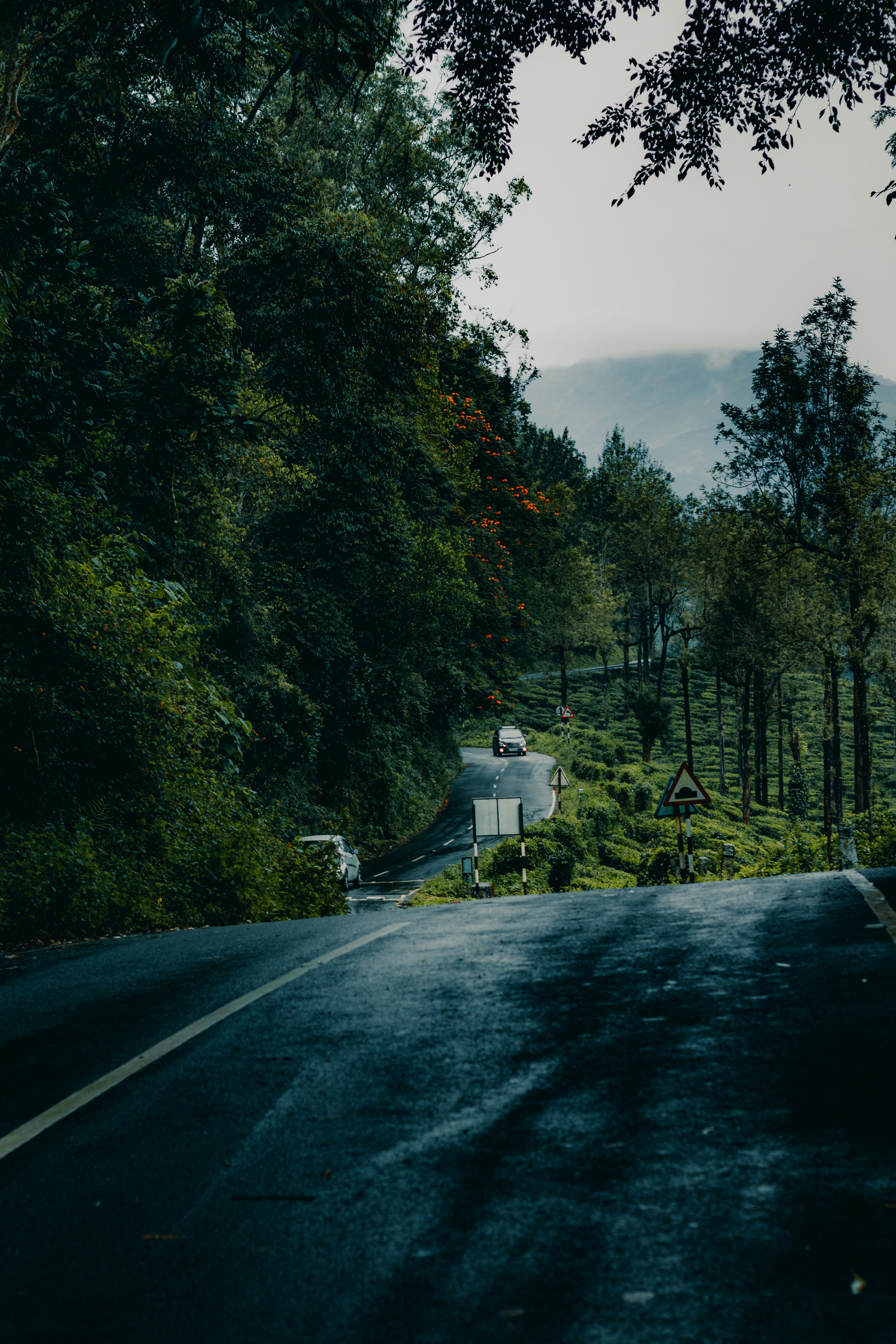 Photo by dhilipantony