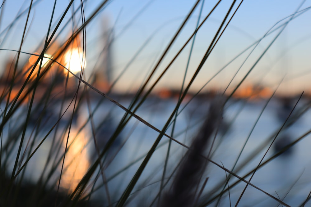 a close up of a barbed wire fence