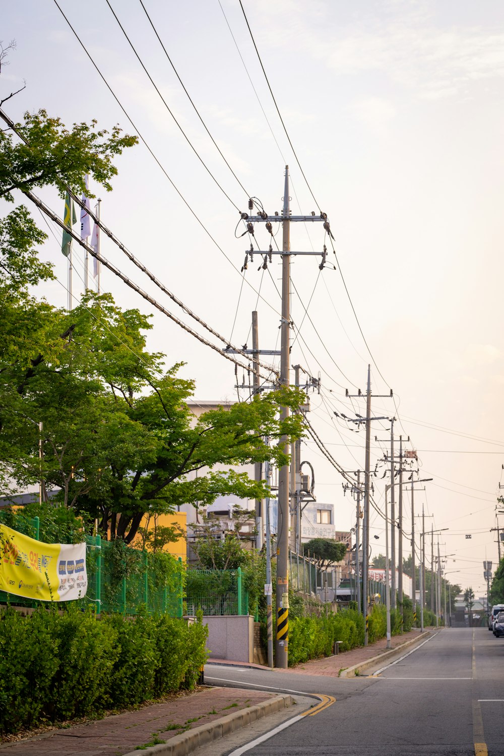 a street with power lines and trees