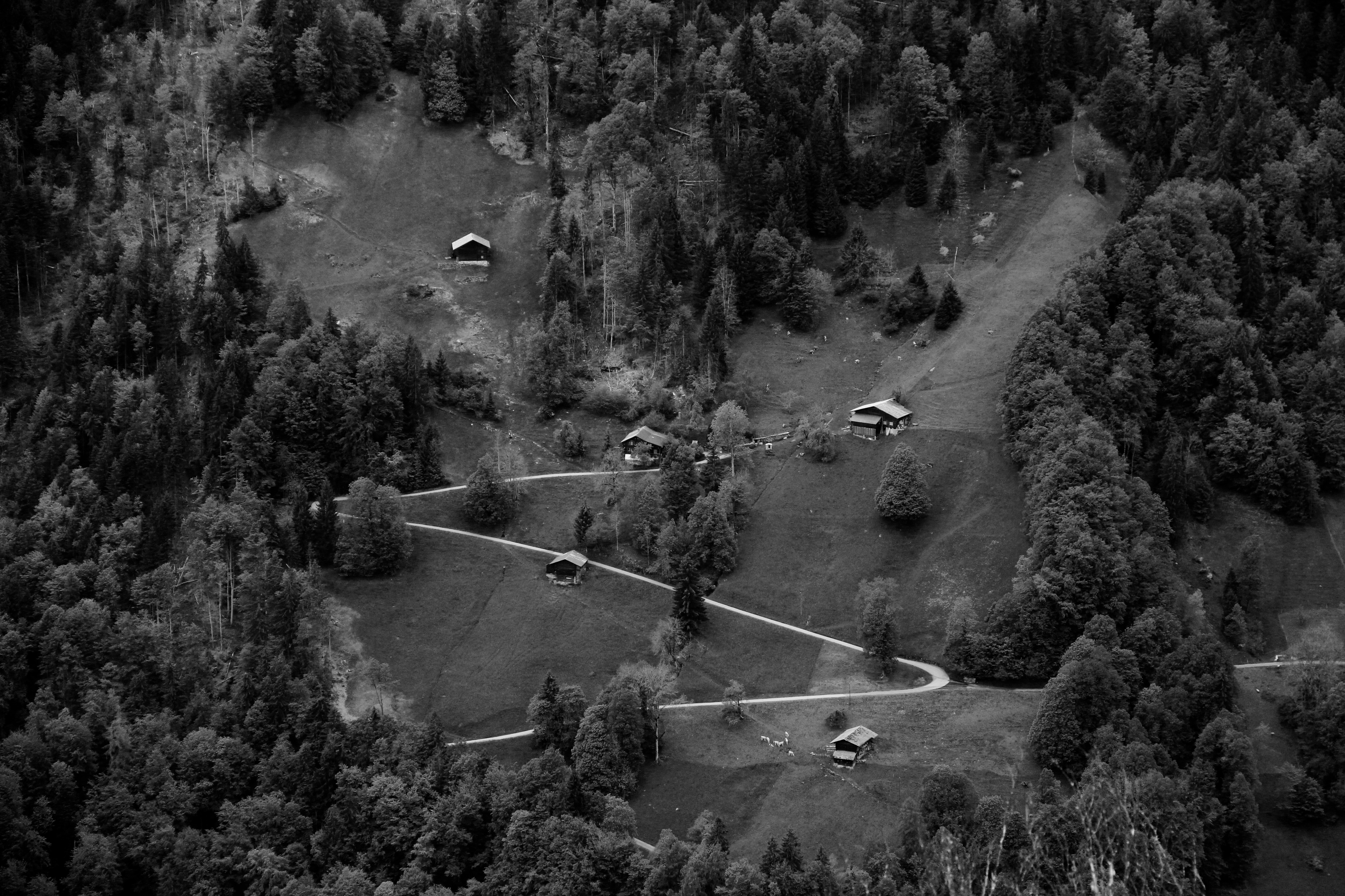 İsveç masajı uygulaması