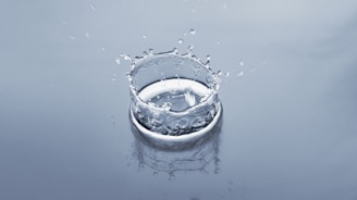 a glass of water with ice