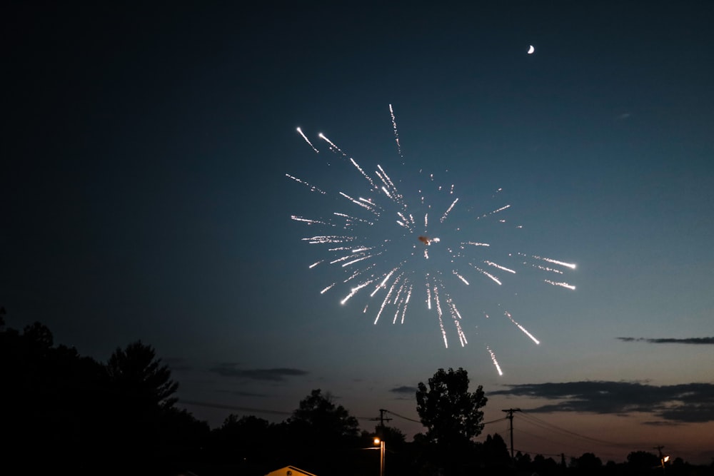 a group of fireworks in the sky