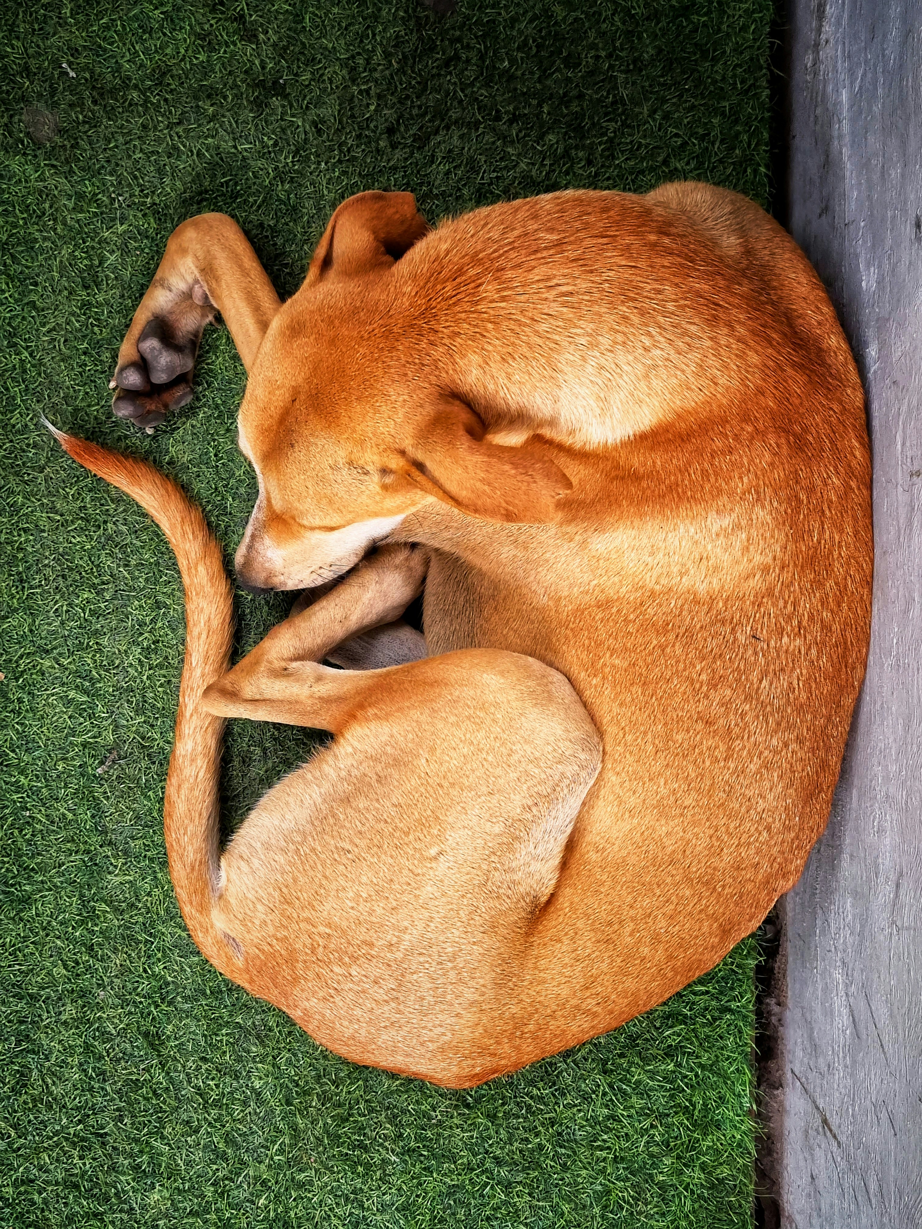 Photo by ishantanuagrawal