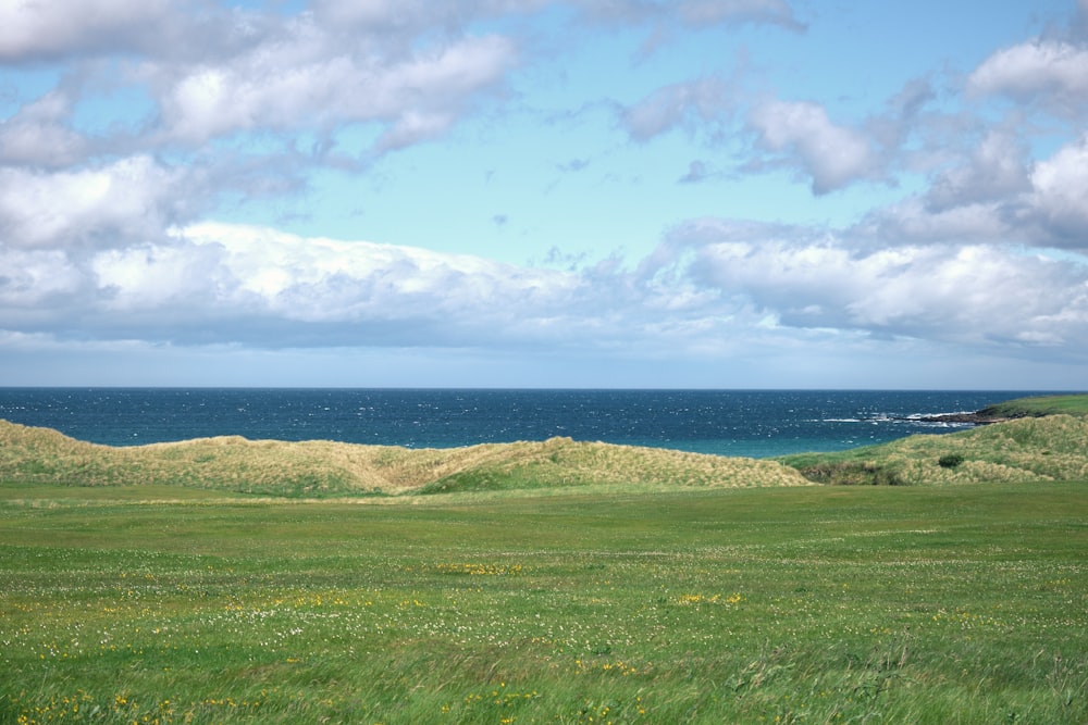 a grassy area with water in the background