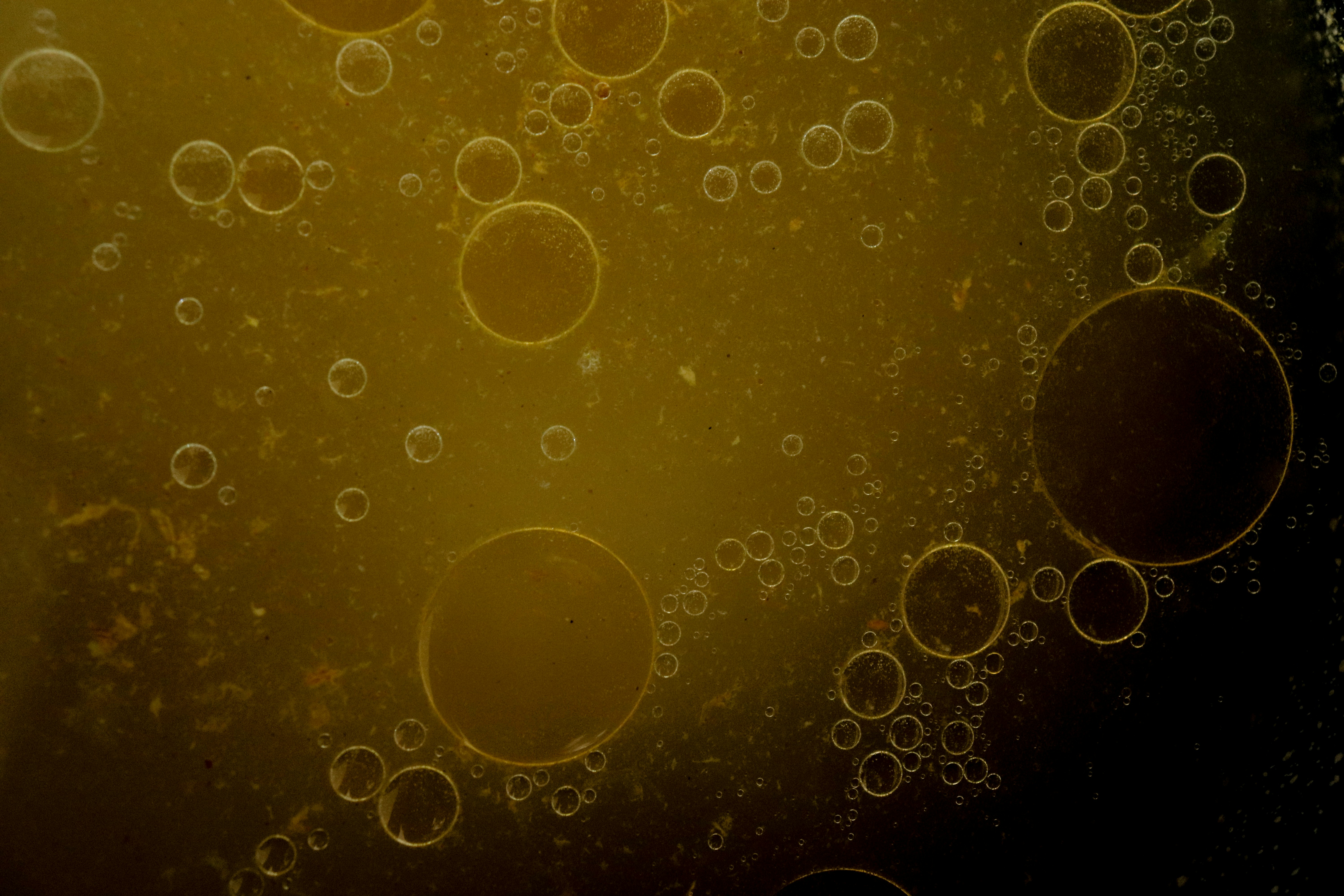 Photo by sinabahar76