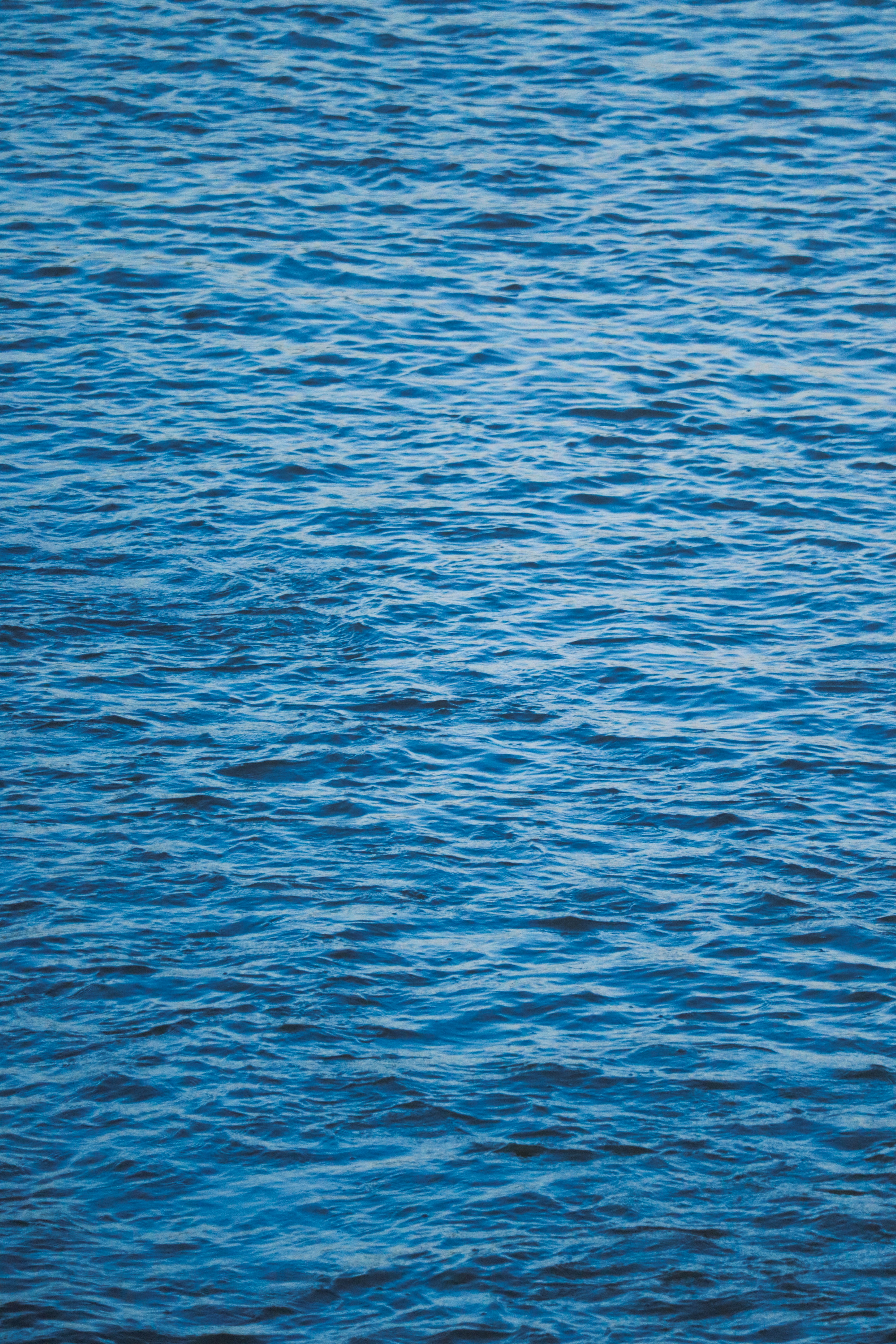 Photo by sinabahar76